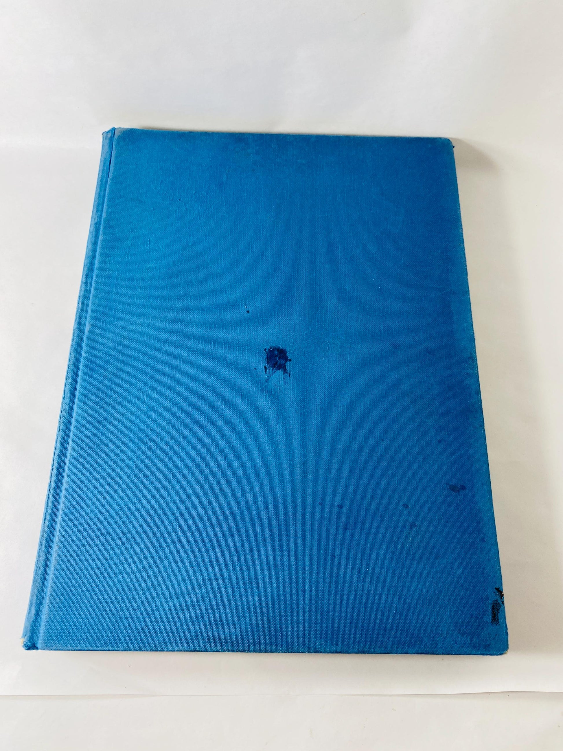 That’s All Folks The Art of Warner Bros Animation Steve Schneider vintage 1988 First Edition Hardcover Looney Tunes Cartoon Art Book