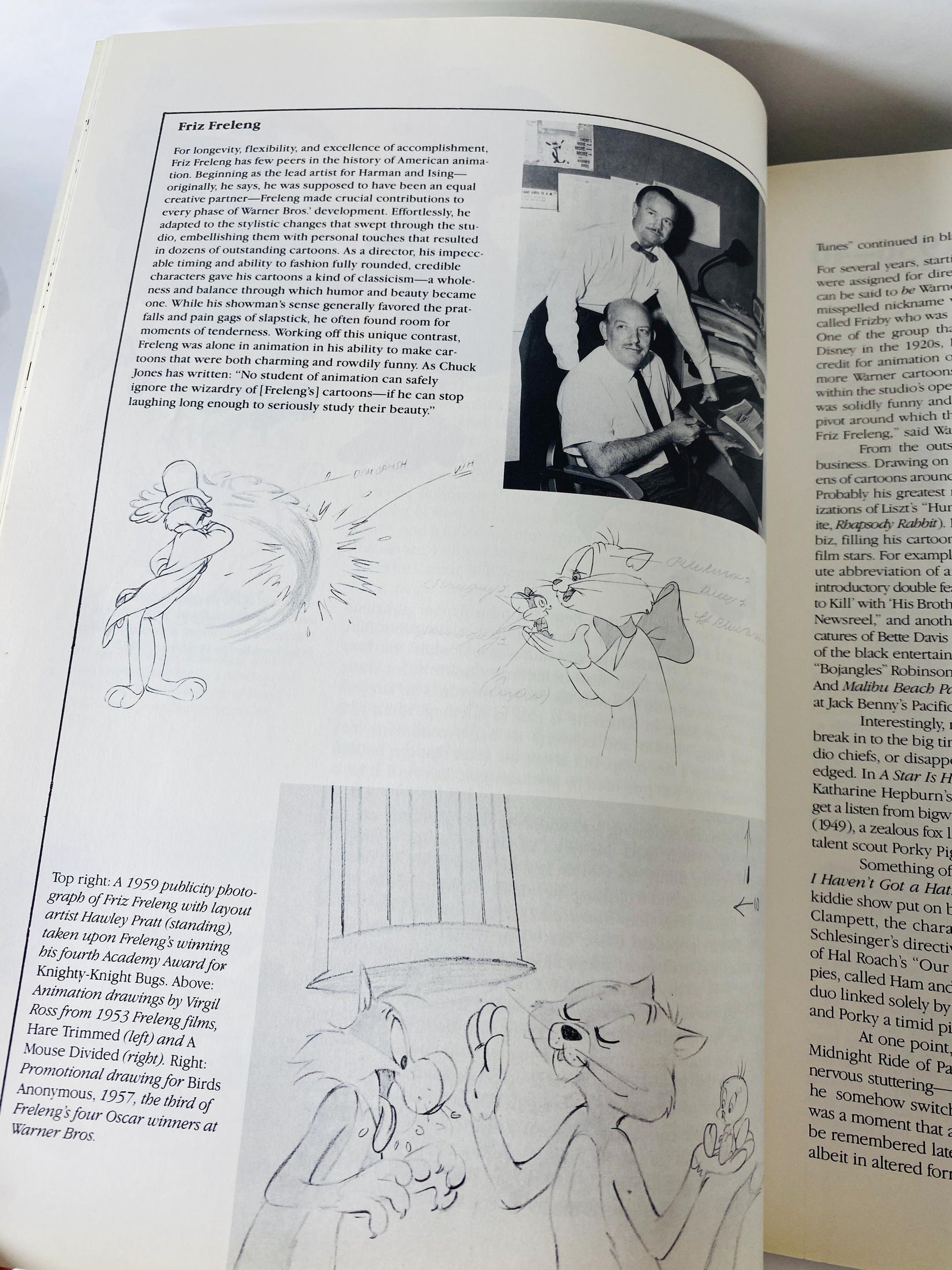 That’s All Folks The Art of Warner Bros Animation Steve Schneider vintage 1988 First Edition Hardcover Looney Tunes Cartoon Art Book