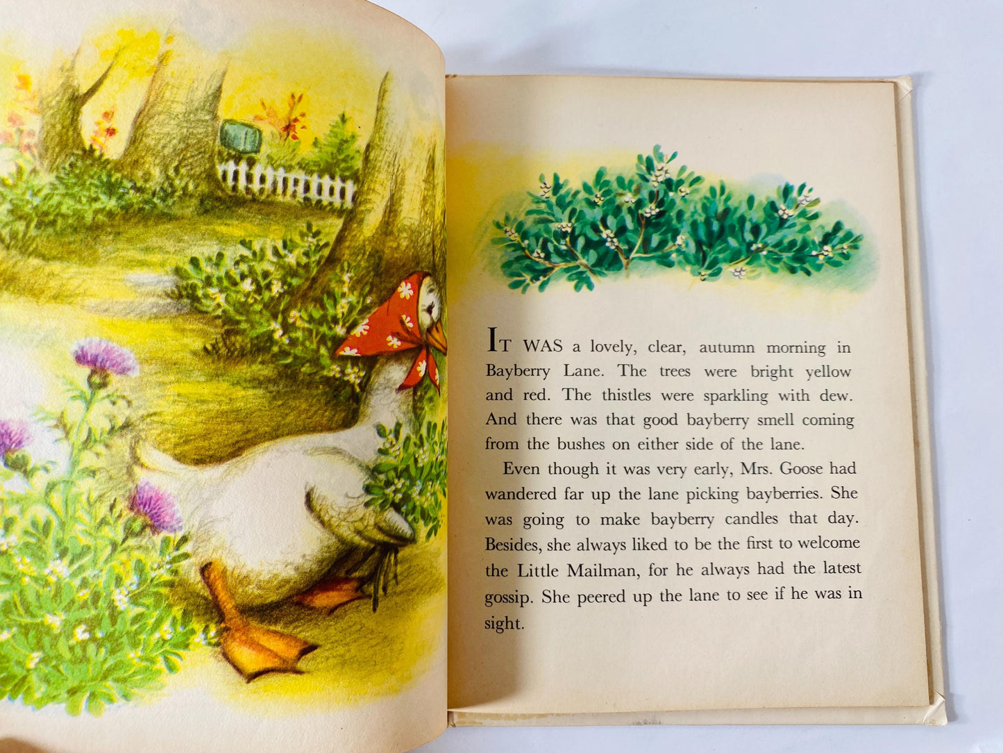 1952 Little Mailman of Bayberry Lane Vintage Rand McNally Book Tip Top Elf children's book by Ian Munn illustrated Elizabeth Webbe squirrel