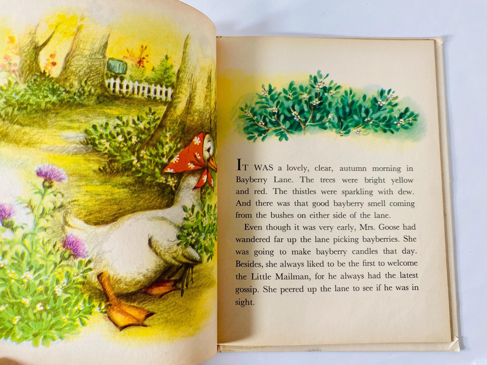 1952 Little Mailman of Bayberry Lane Vintage Rand McNally Book Tip Top Elf children's book by Ian Munn illustrated Elizabeth Webbe squirrel