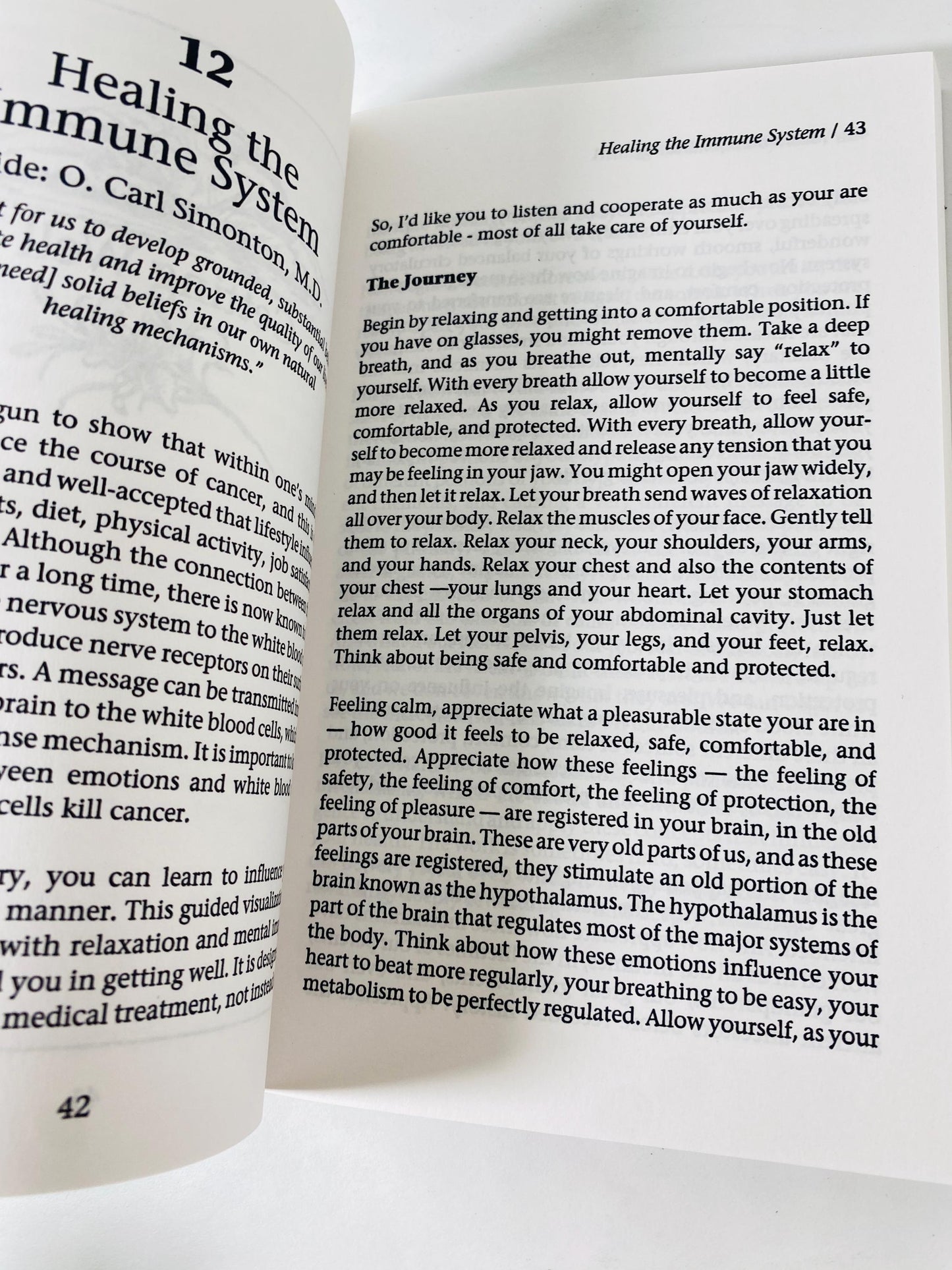 Meditations for Healing vintage paperback book by Larry Moen 1998 Guided Imagery Book, Meditation Self Help, occult