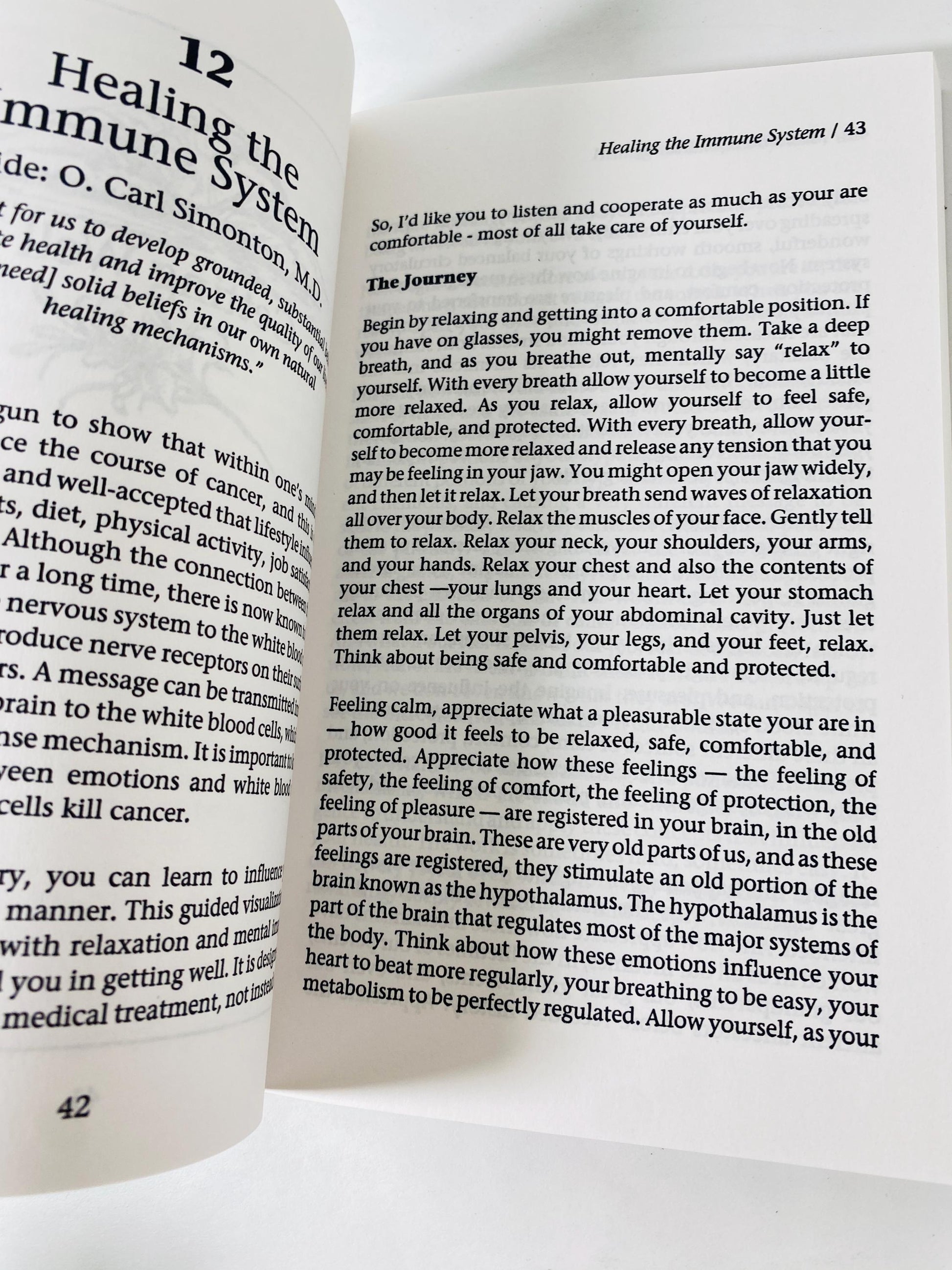 Meditations for Healing vintage paperback book by Larry Moen 1998 Guided Imagery Book, Meditation Self Help, occult