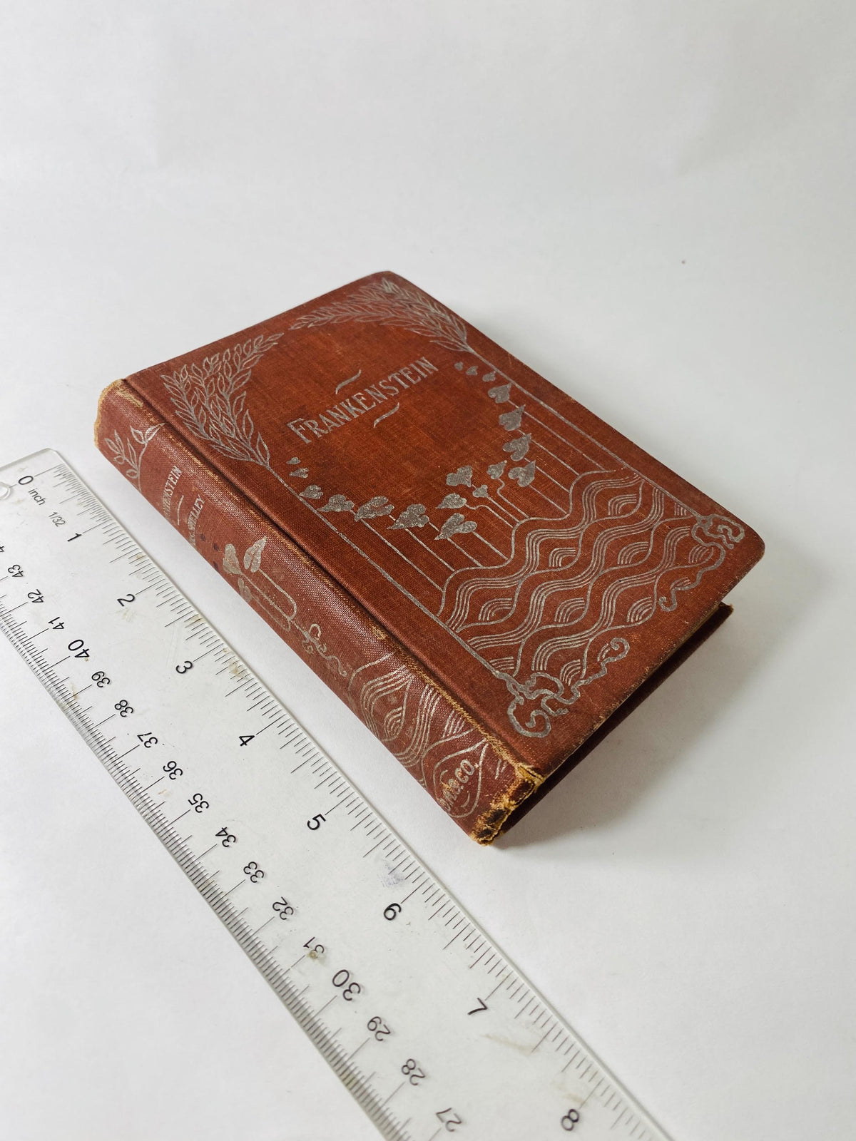 1895 Frankenstein by Mary Shelley vintage book Homewood Publishing Modern Prometheus Rare Christmas antique gift