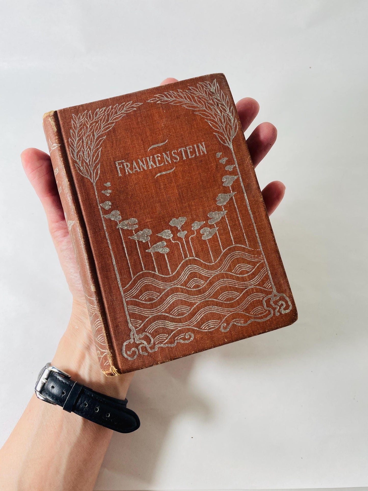 1895 Frankenstein by Mary Shelley vintage book Homewood Publishing Modern Prometheus Rare Christmas antique gift