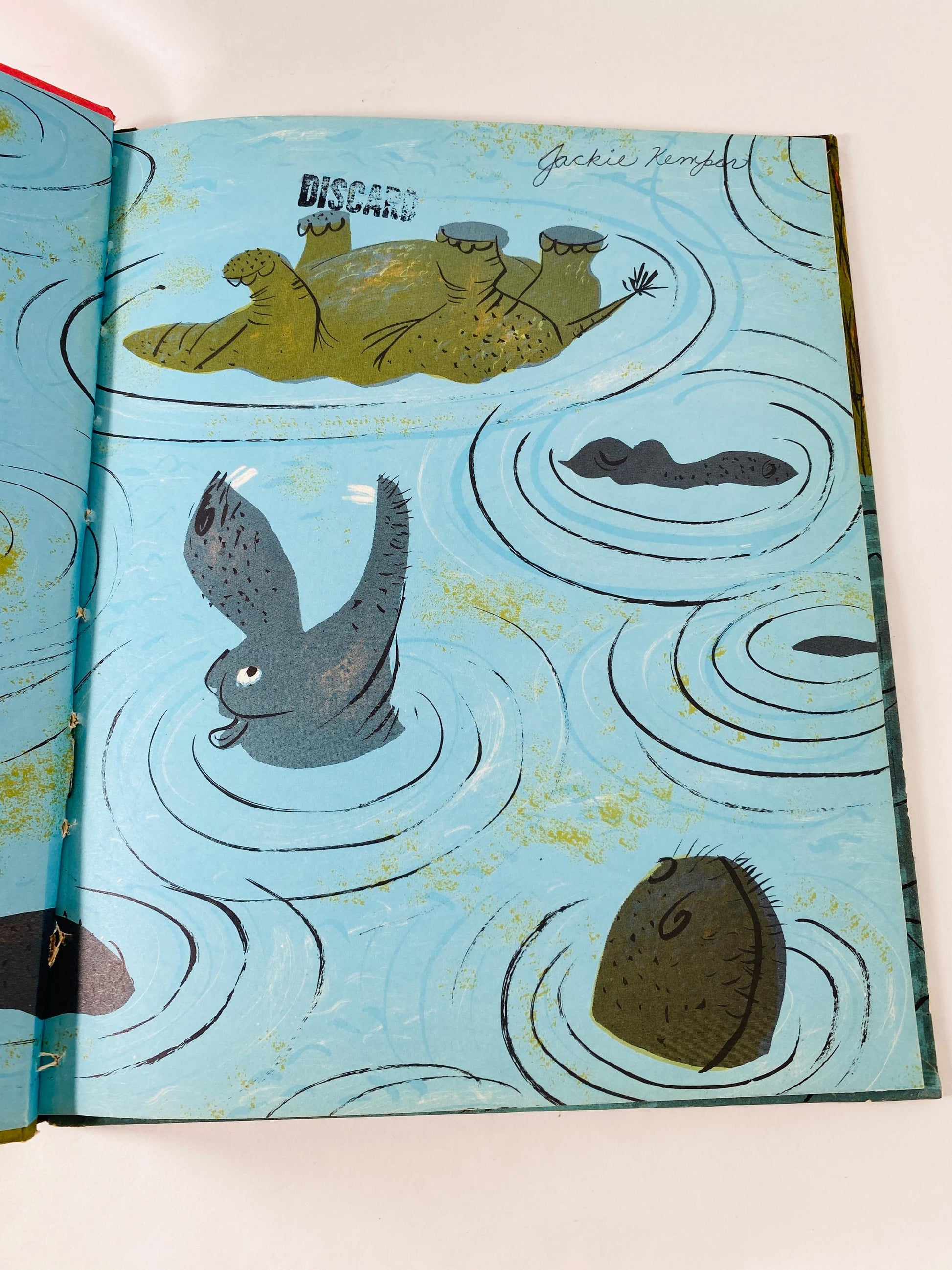 Veronica vintage Weekly Reader children's book by Roger Duvoisin circa 1961 about a hippopotamus who wants to stand out from the herd