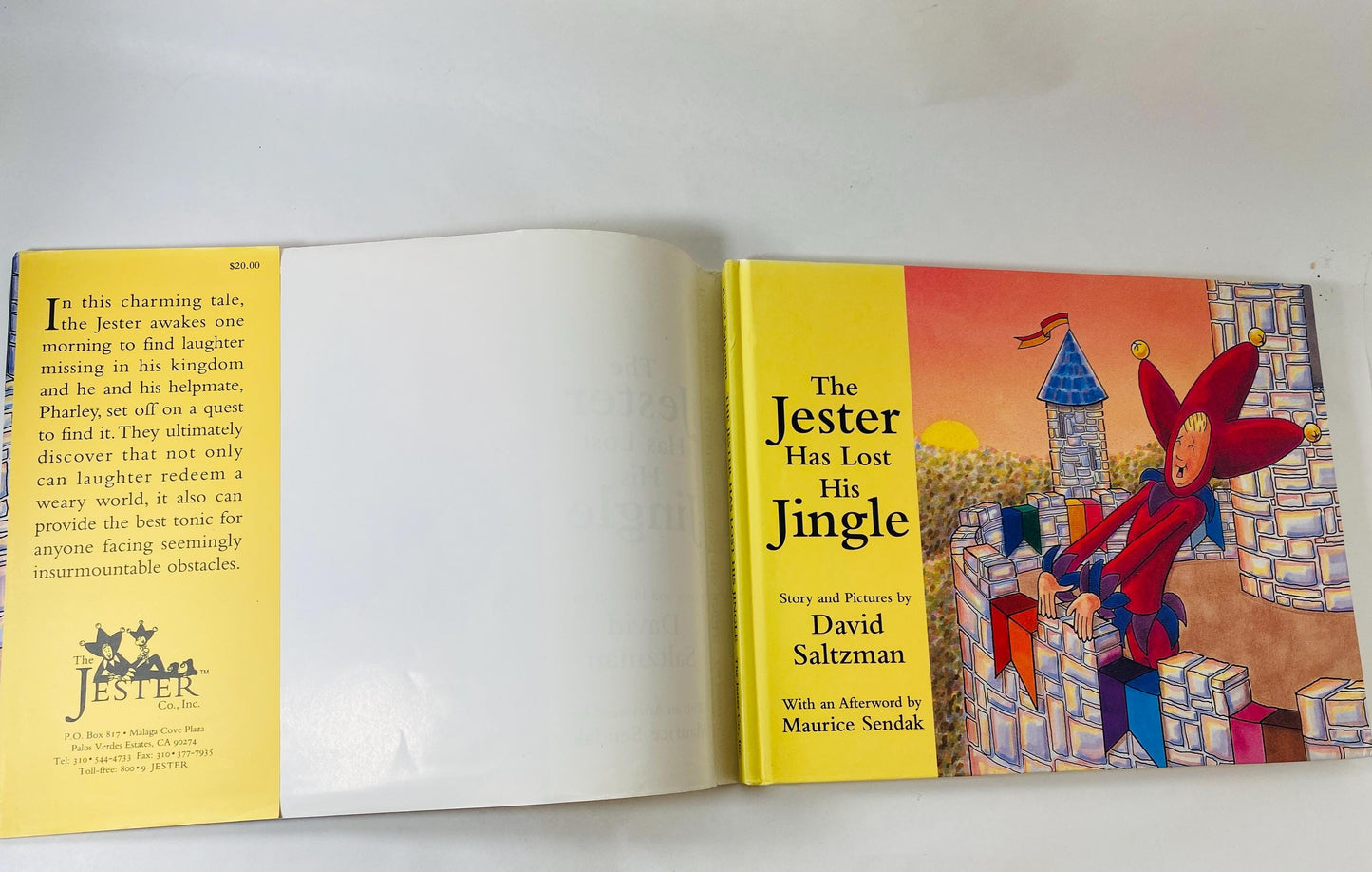 1995 The Jester Has Lost His Jingle vintage children's book David Saltzman FIRST EDITION Picture Book Maurice Sendak Afterword