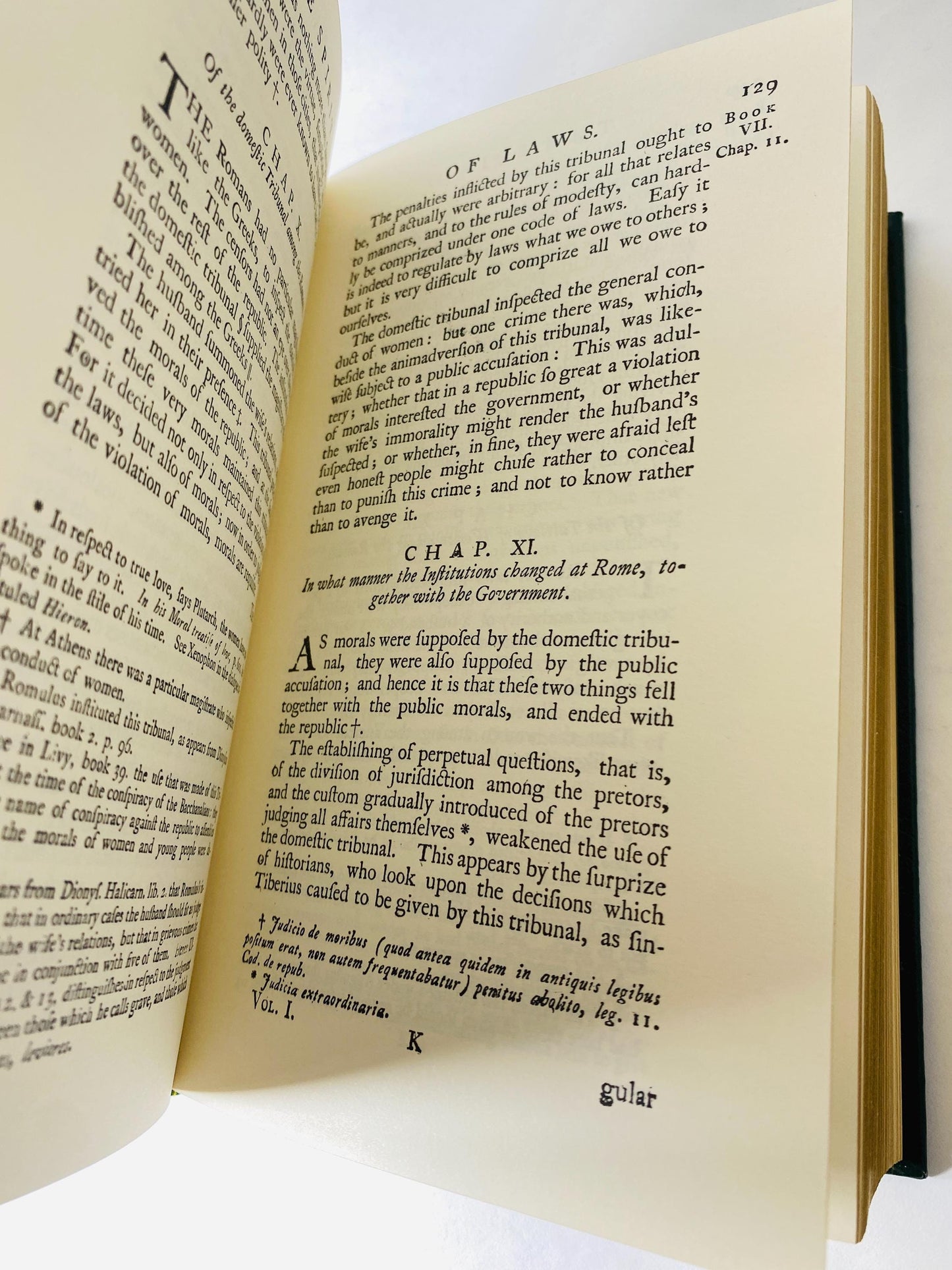 Spirit of Laws by Baron de Montesquieu Vintage leather book law school graduation gift office decor criminal defense attorney litigator