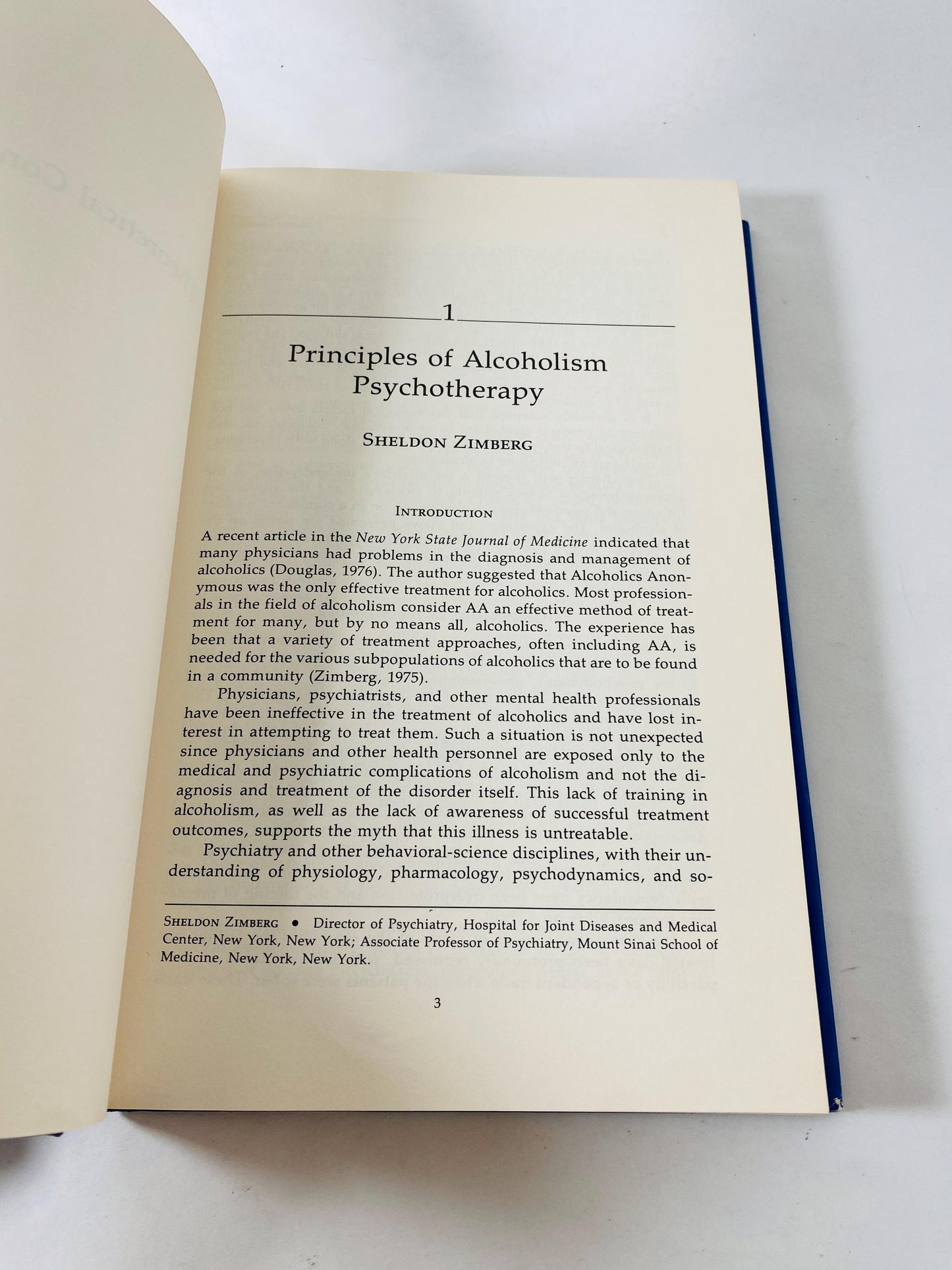 Alcoholics Psychotherapy vintage book by Zimberg FIRST EDITION circa 1978 AA collector vintage book gift