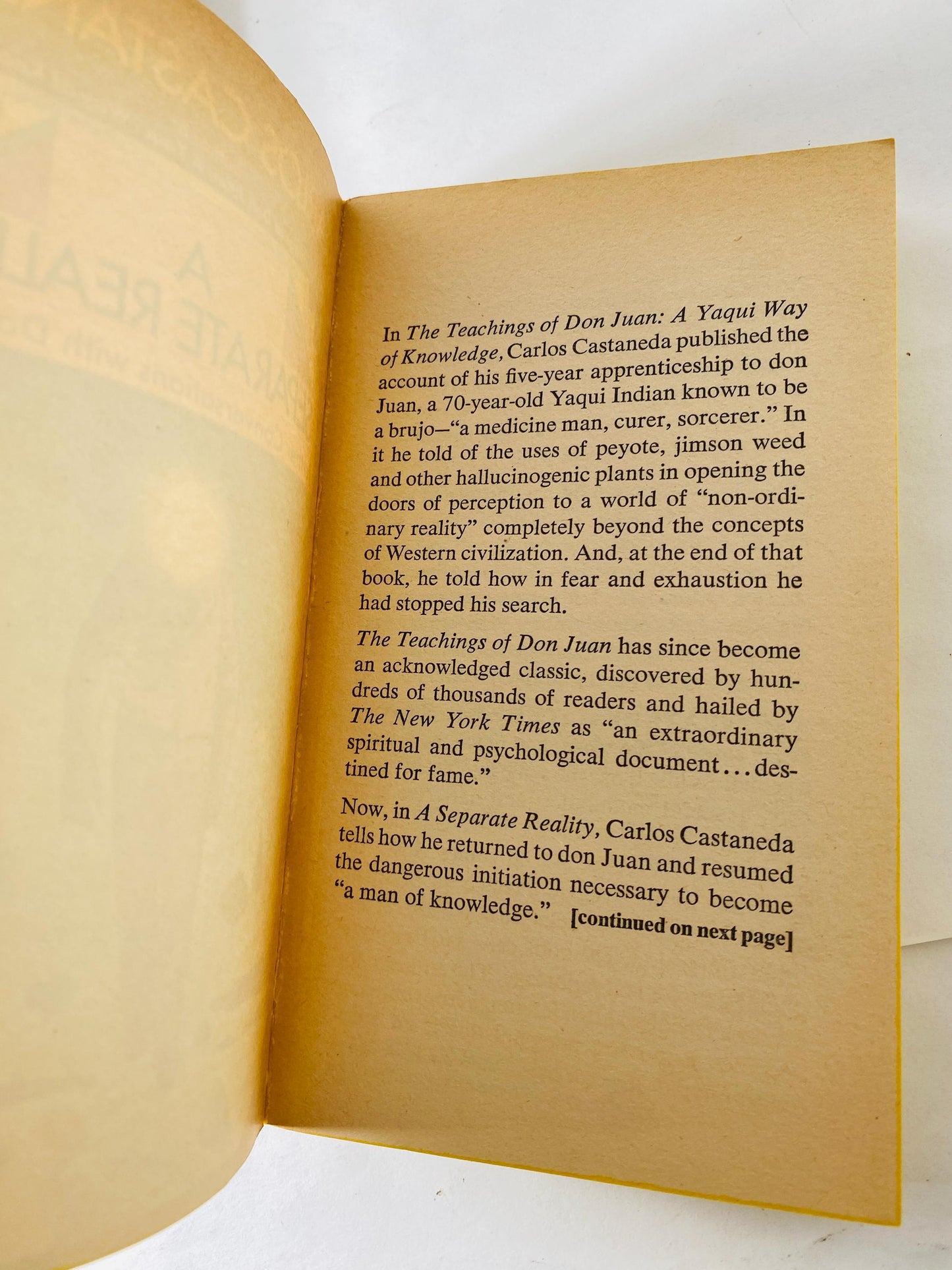 Separate Reality Conversations with Don Juan Vintage paperback book set circa 1976 Carlos Castaneda Shamanism Tensegrity