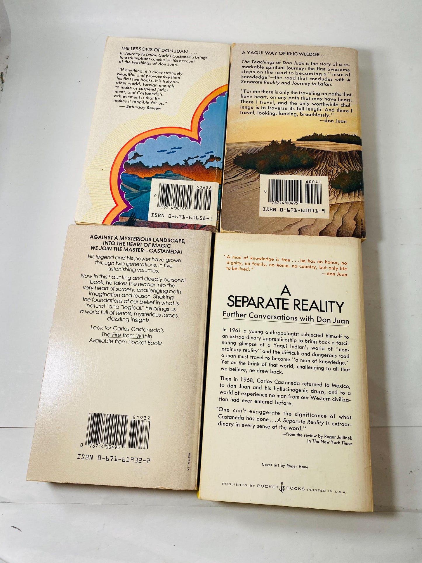 Separate Reality Conversations with Don Juan Vintage paperback book set circa 1976 Carlos Castaneda Shamanism Tensegrity