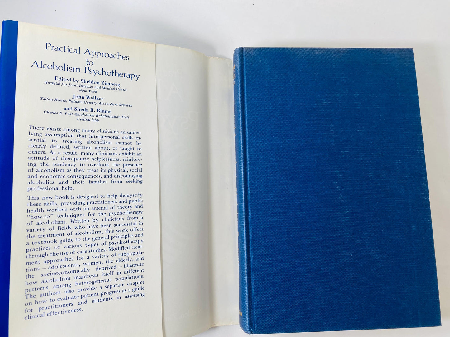 Alcoholics Psychotherapy vintage book by Zimberg FIRST EDITION circa 1978 AA collector vintage book gift