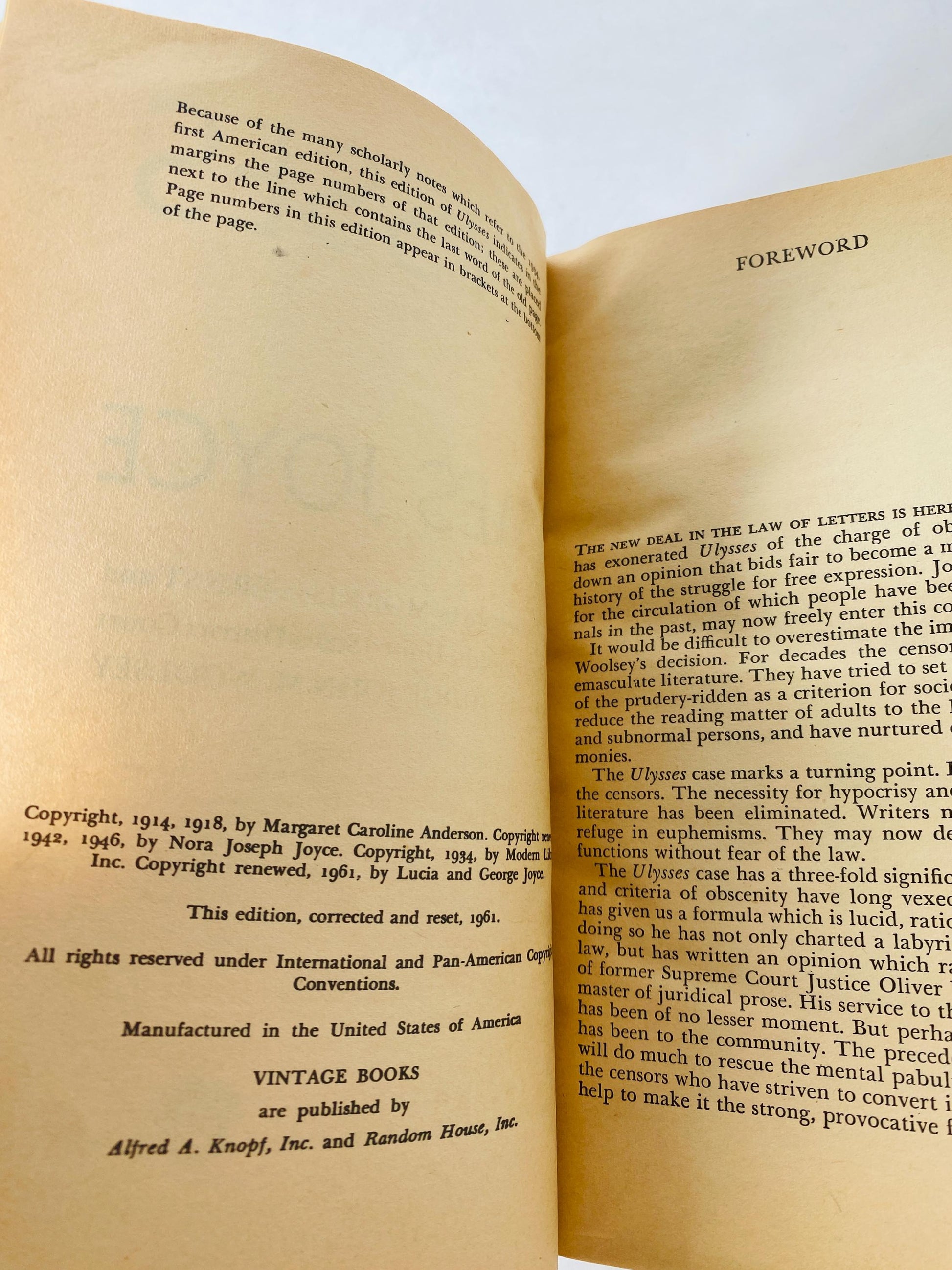 1961 Ulysses by James Joyce Vintage paperback book Pulitzer Prize. Home office bookshelf decor