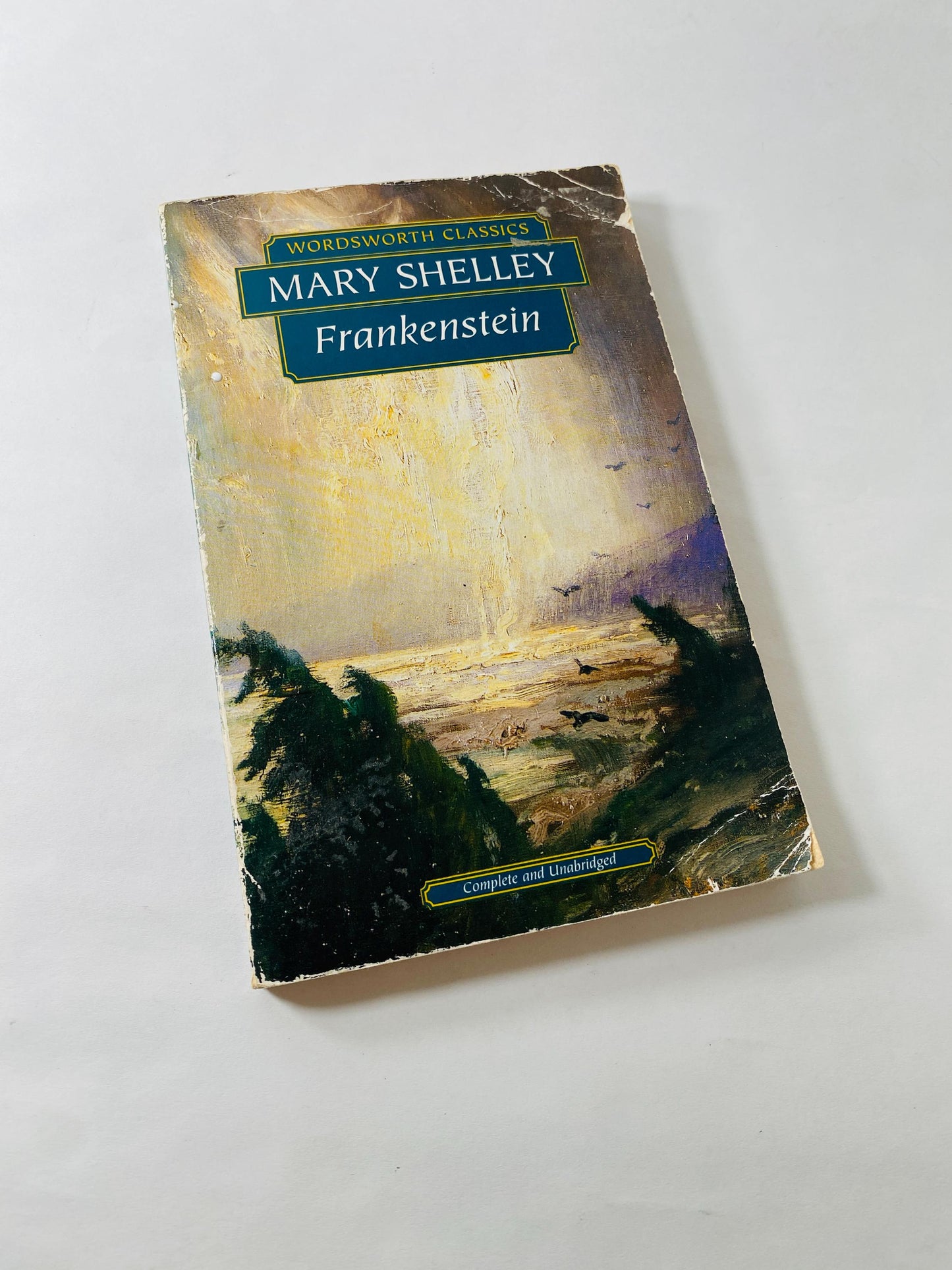 Mary Shelley Frankenstein Vintage paperback book circa 1993 collector gift Gothic gift emo goth home decor Halloween