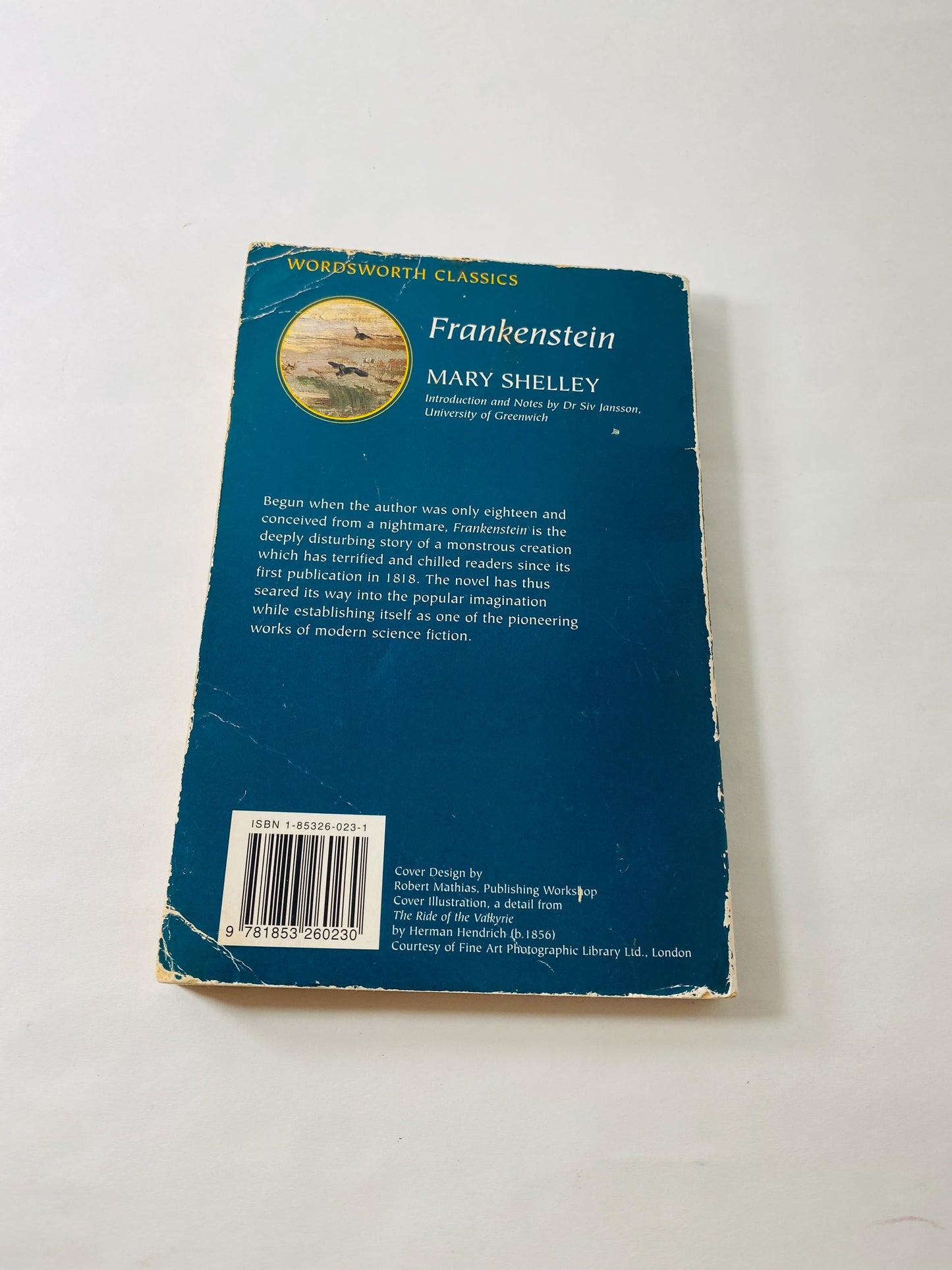 Mary Shelley Frankenstein Vintage paperback book circa 1993 collector gift Gothic gift emo goth home decor Halloween