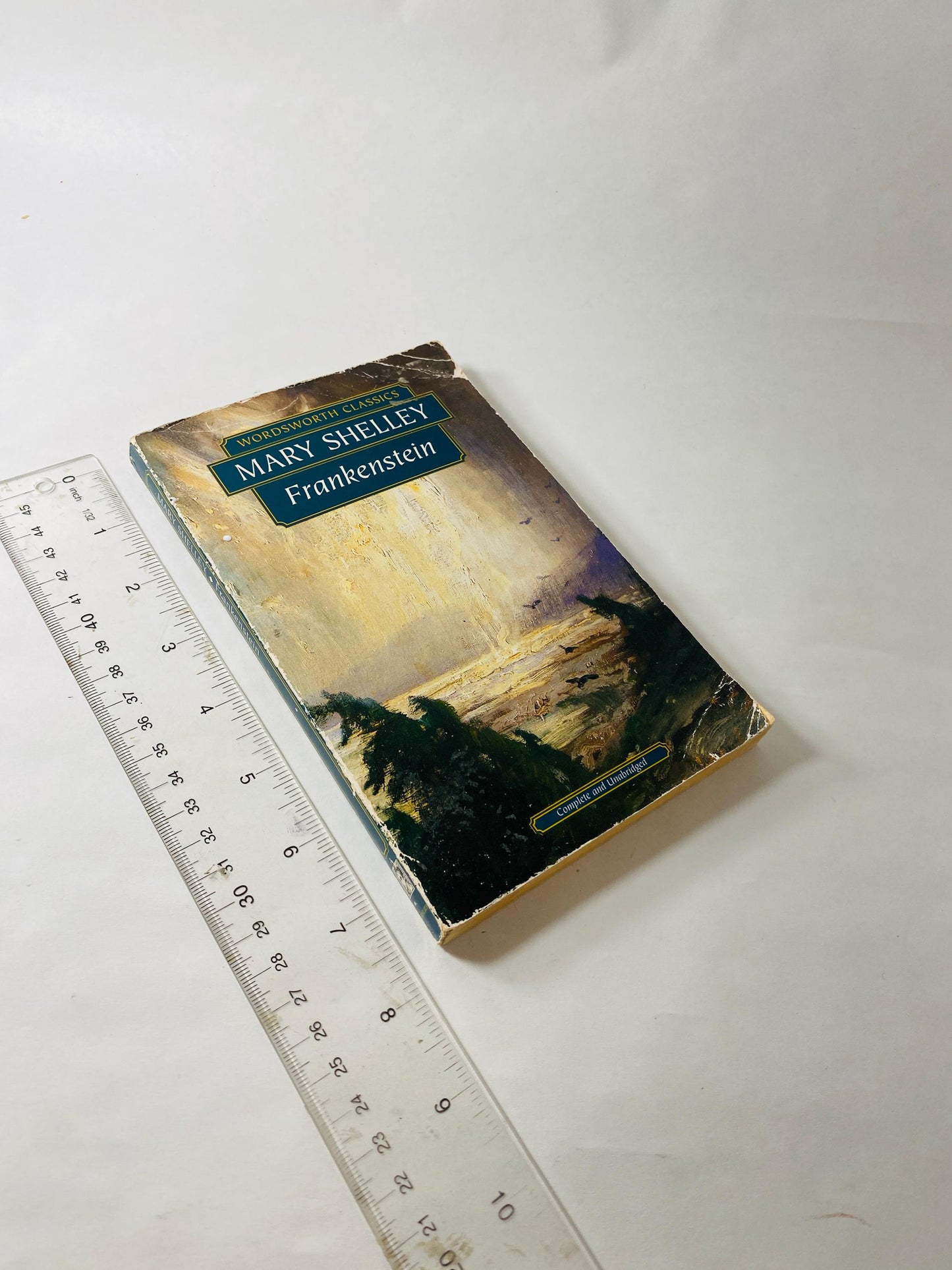 Mary Shelley Frankenstein Vintage paperback book circa 1993 collector gift Gothic gift emo goth home decor Halloween