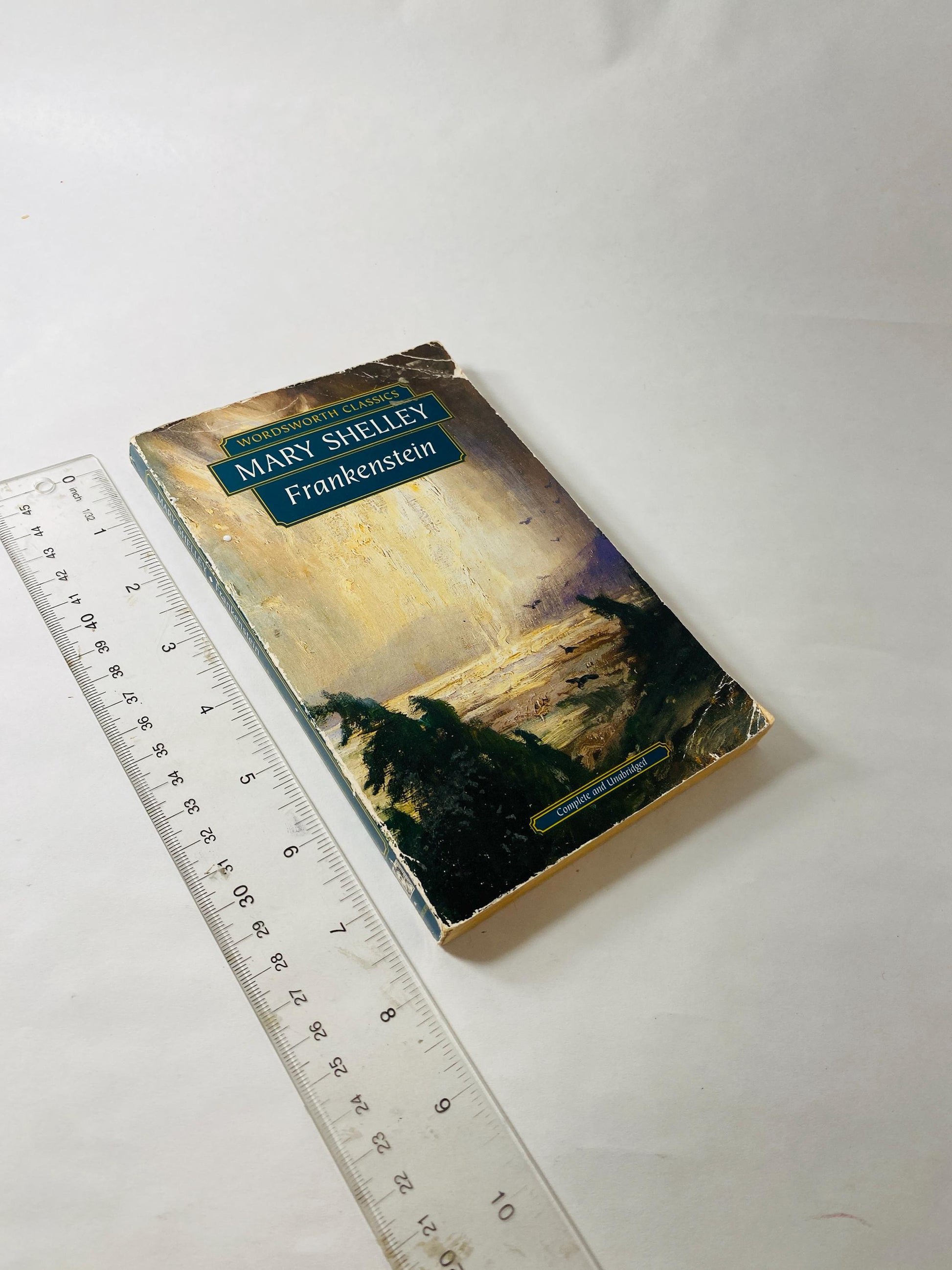 Mary Shelley Frankenstein Vintage paperback book circa 1993 collector gift Gothic gift emo goth home decor Halloween