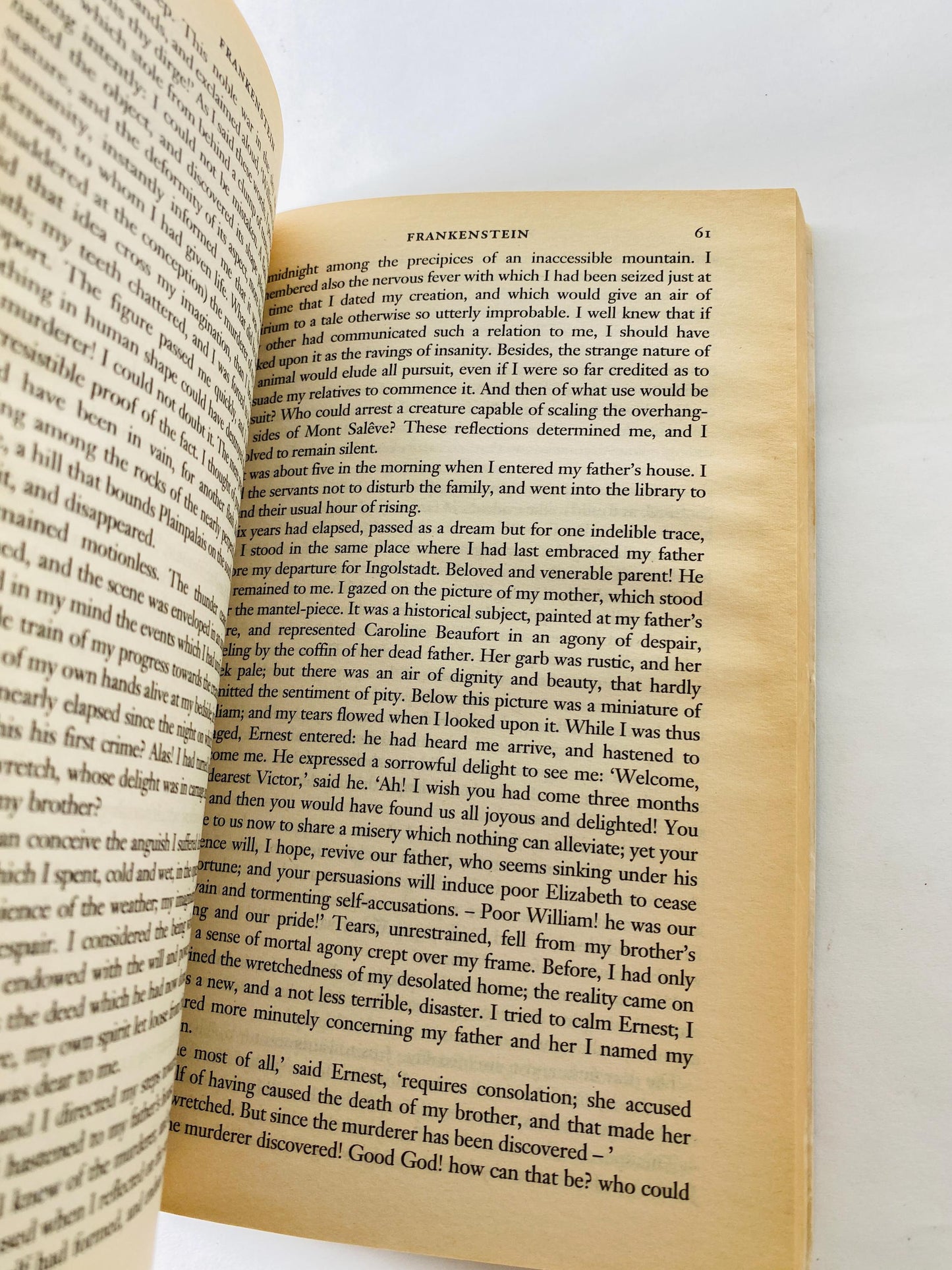 Mary Shelley Frankenstein Vintage paperback book circa 1993 collector gift Gothic gift emo goth home decor Halloween