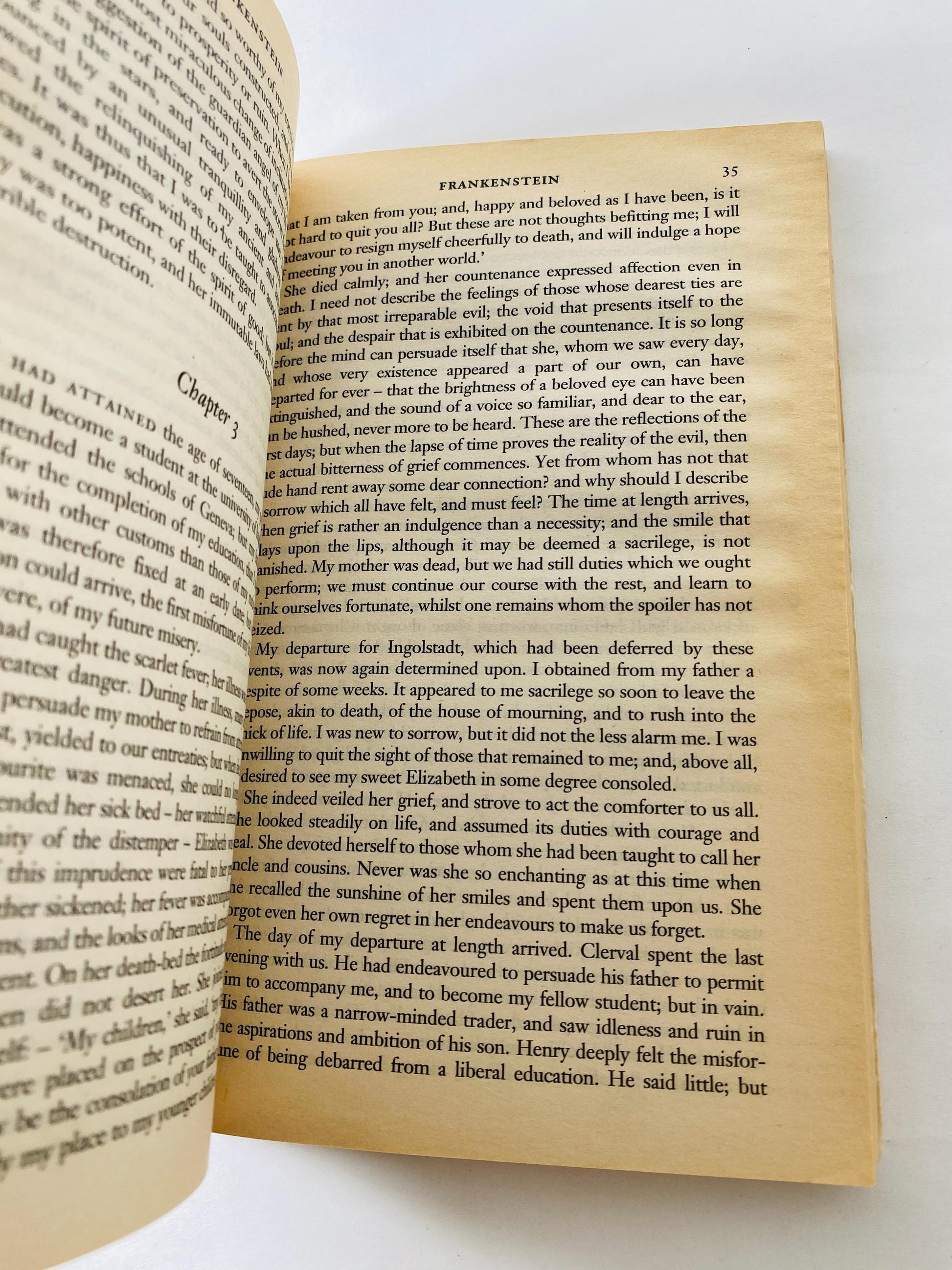 Mary Shelley Frankenstein Vintage paperback book circa 1993 collector gift Gothic gift emo goth home decor Halloween