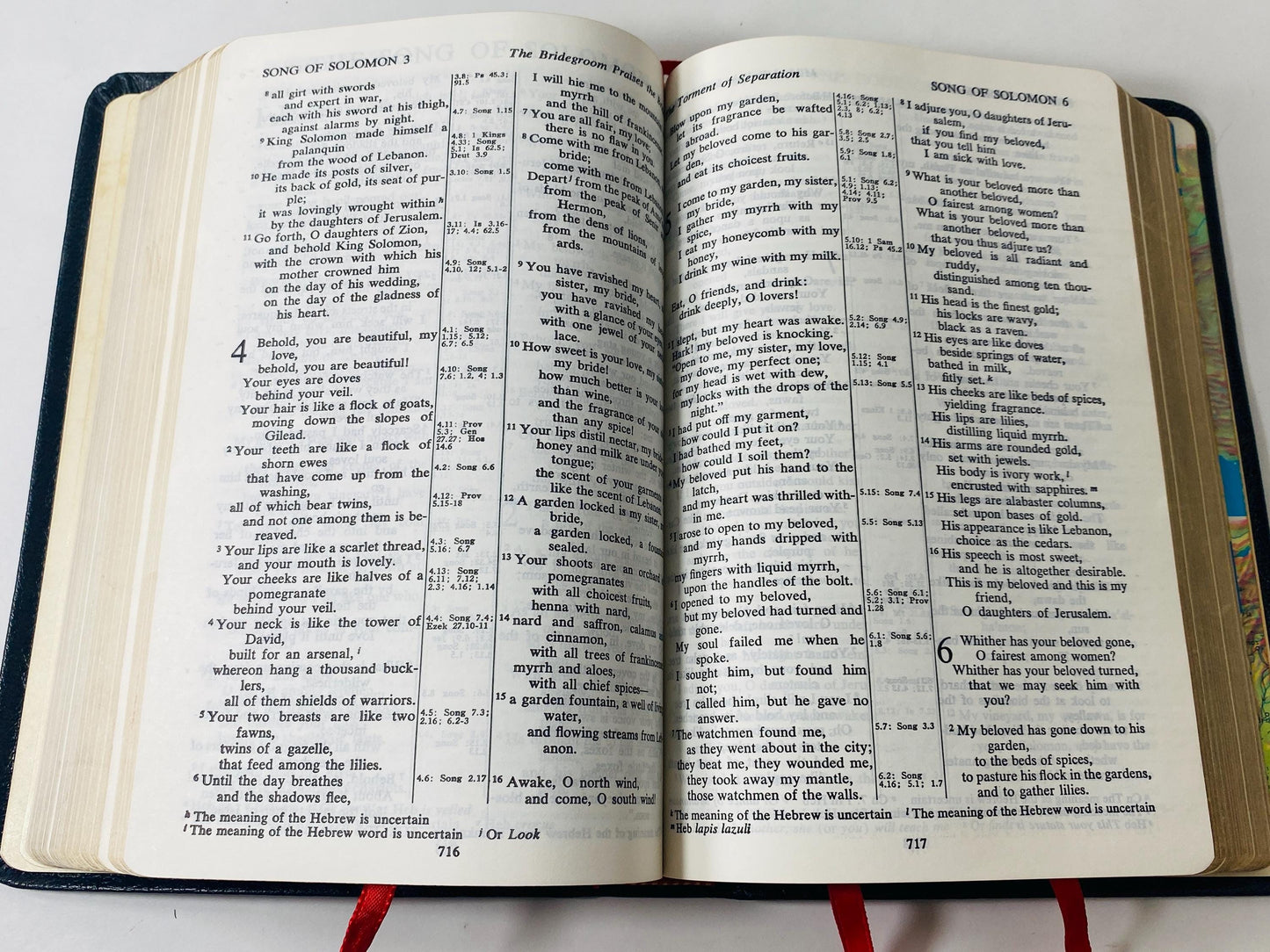 Holy Bible Old & New Testaments Red Letter Edition circa 1972 Vintage bible w leather cover. Thomas Nelson. King James Rev