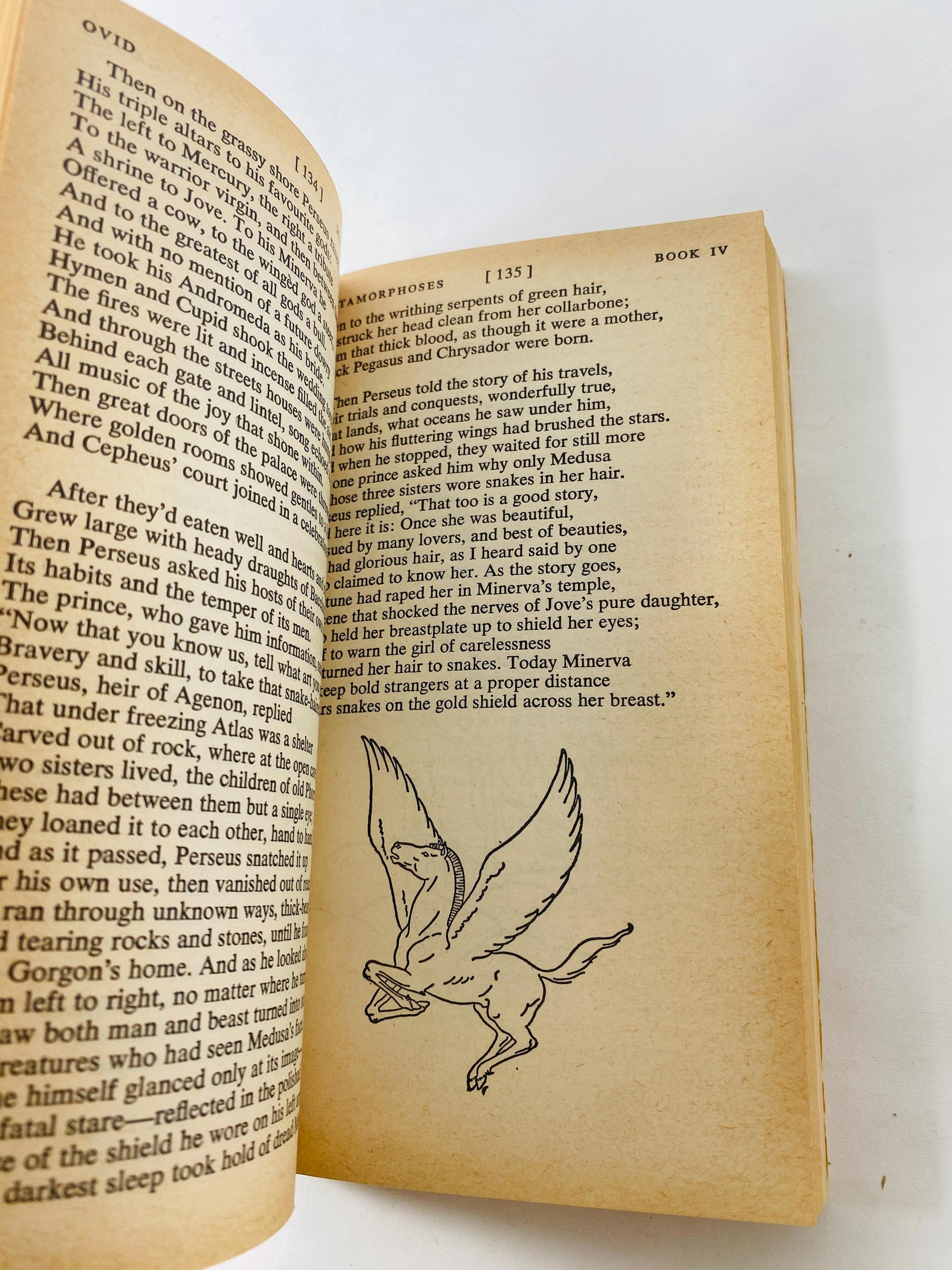 Ovid Metamorphoses vintage paperback book circa 1964 classic Roman epic psychology Greek Psychoanalysis mythology