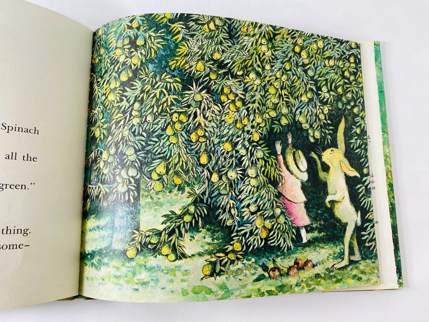 Maurice Sendak FIRST EDITION vintage book Mr. Rabbit and the Lovely Present published prior to Where the Wild Things Are