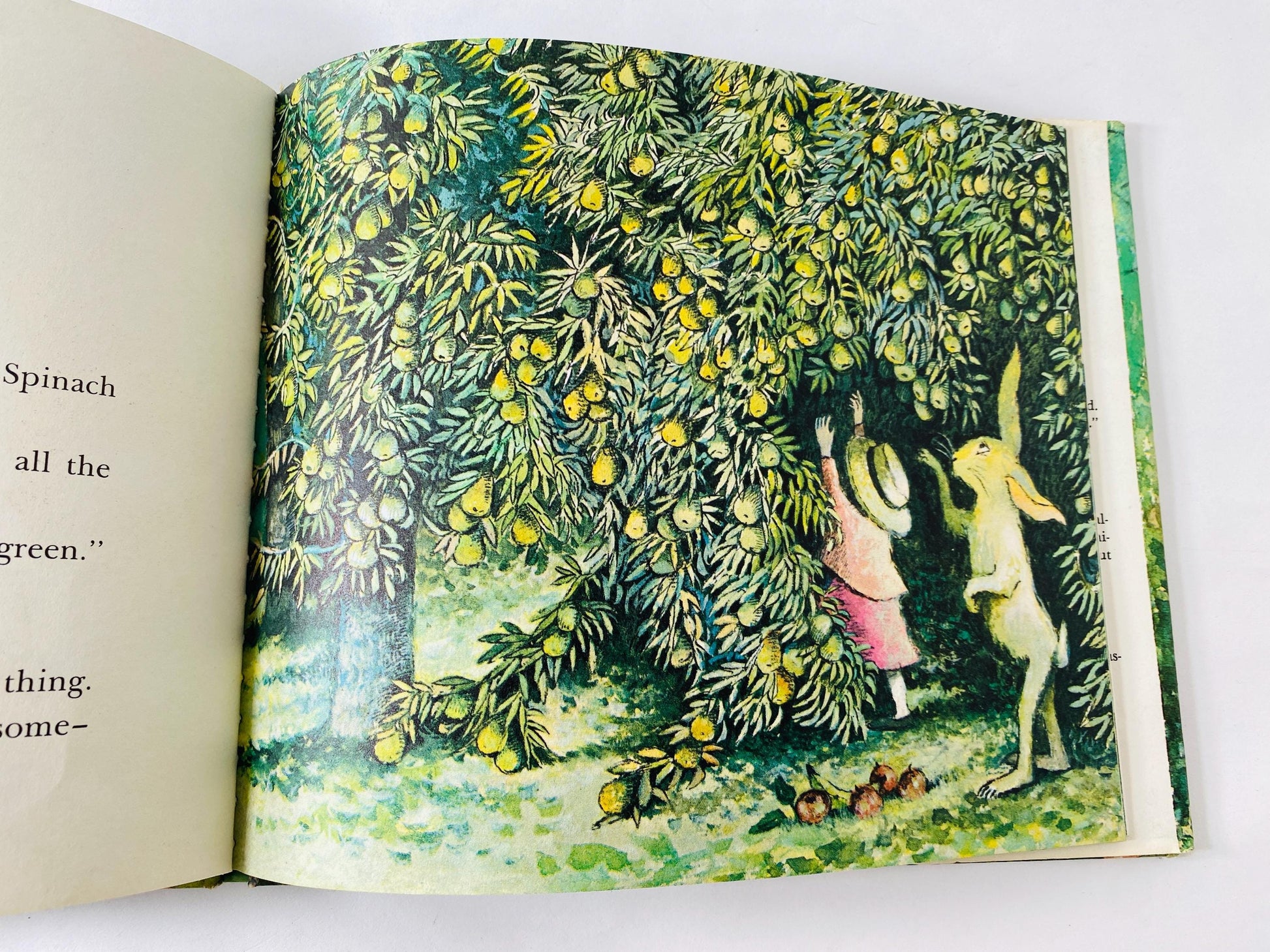 Maurice Sendak FIRST EDITION vintage book Mr. Rabbit and the Lovely Present published prior to Where the Wild Things Are