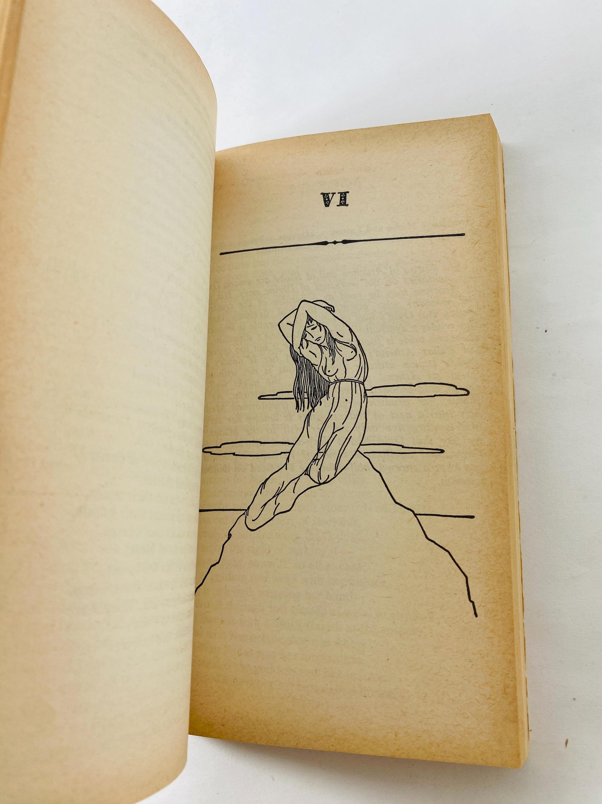 Ovid Metamorphoses vintage paperback book circa 1964 classic Roman epic psychology Greek Psychoanalysis mythology