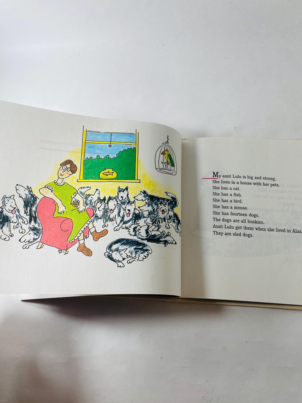 Aunt Lulu vintage book by Daniel P inkwater children's illustrated picture book about a librarian in Alaska with 14 husky sled dogs