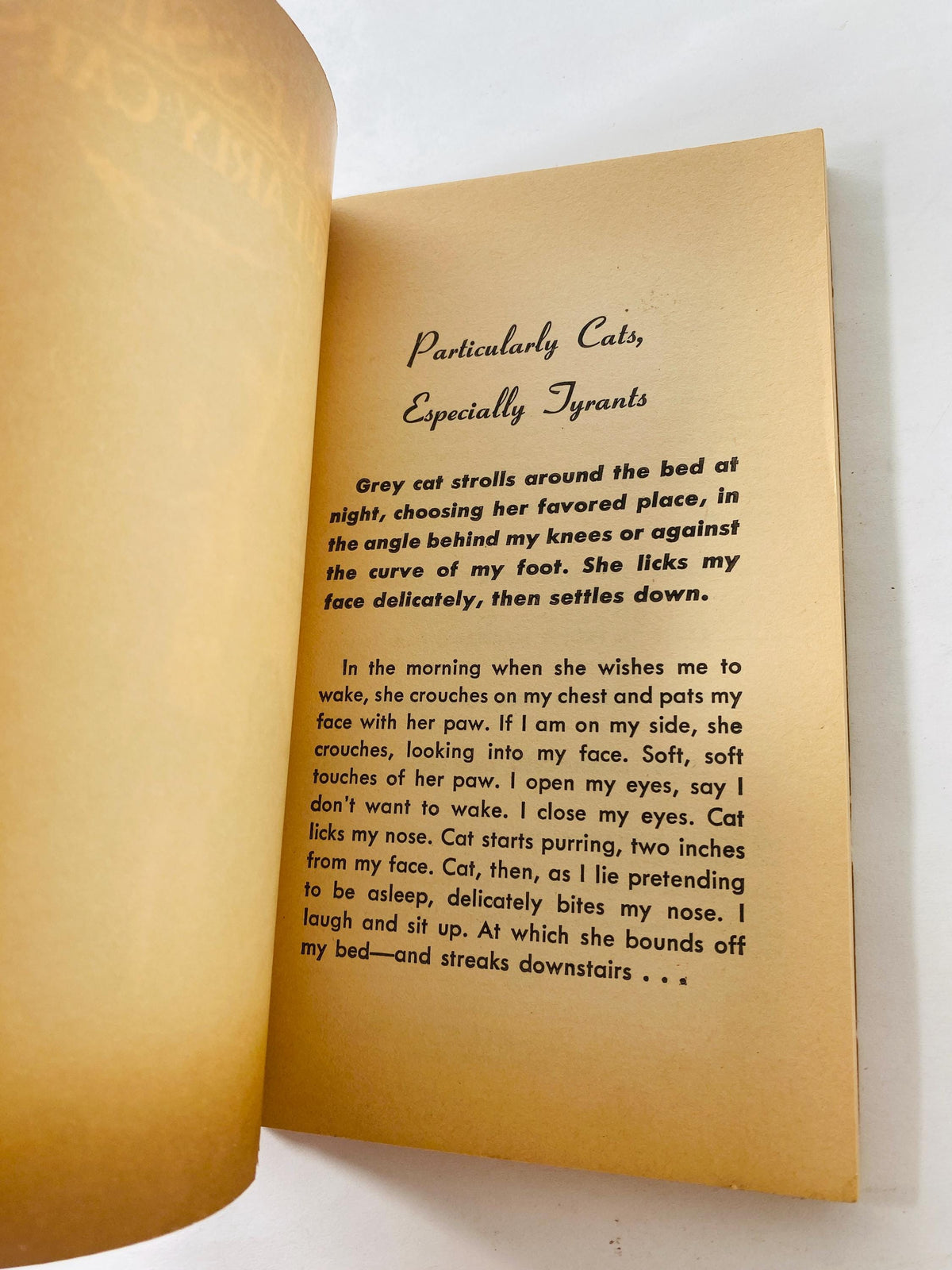 Particularly Cats vintage paperback book by Doris Lessing circa 1971 Christmas Chanukah gift stocking stuffer feline collectible