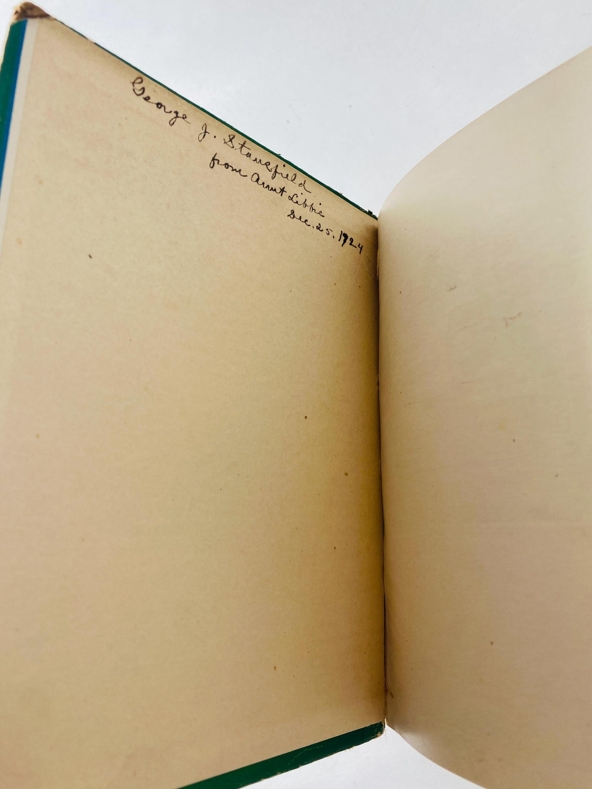 Little Green Goblin FIRST EDITION vintage book by Naylor published by Saalfield Publishing circa 1907, Fairies Poor Condition Halloween