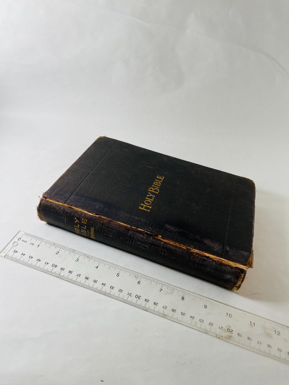 Antique 1910s Holy Bible KJV Thomas Nelson & Sons New York Reference Edition Illustrated Gilt Cover Presentation Gift Bible