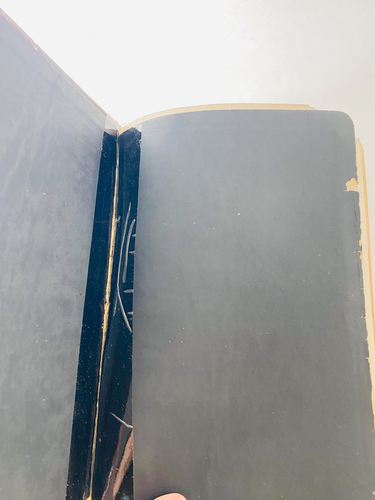 Antique 1910s Holy Bible KJV Thomas Nelson & Sons New York Reference Edition Illustrated Gilt Cover Presentation Gift Bible