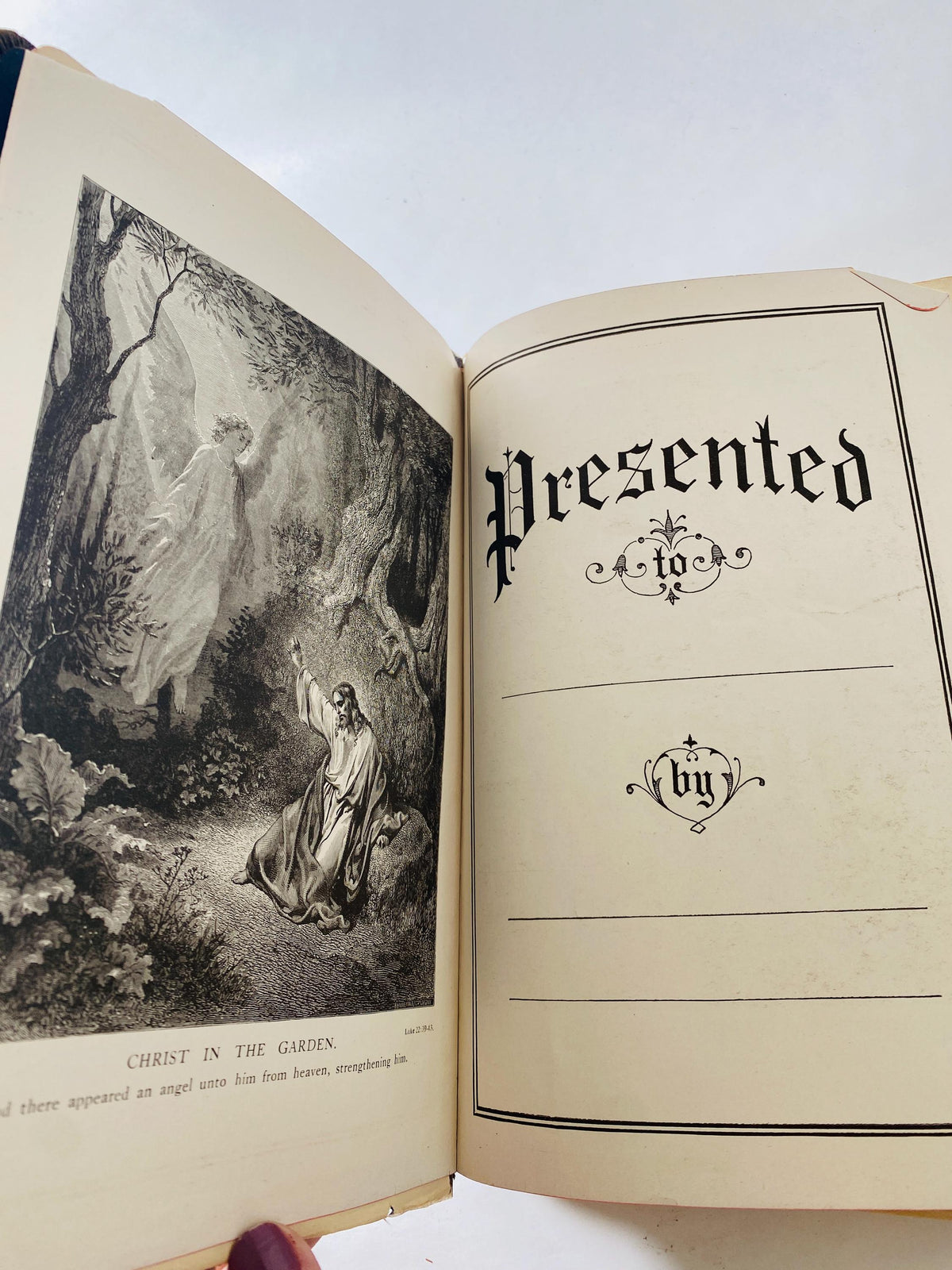 Antique 1910s Holy Bible KJV Thomas Nelson & Sons New York Reference Edition Illustrated Gilt Cover Presentation Gift Bible