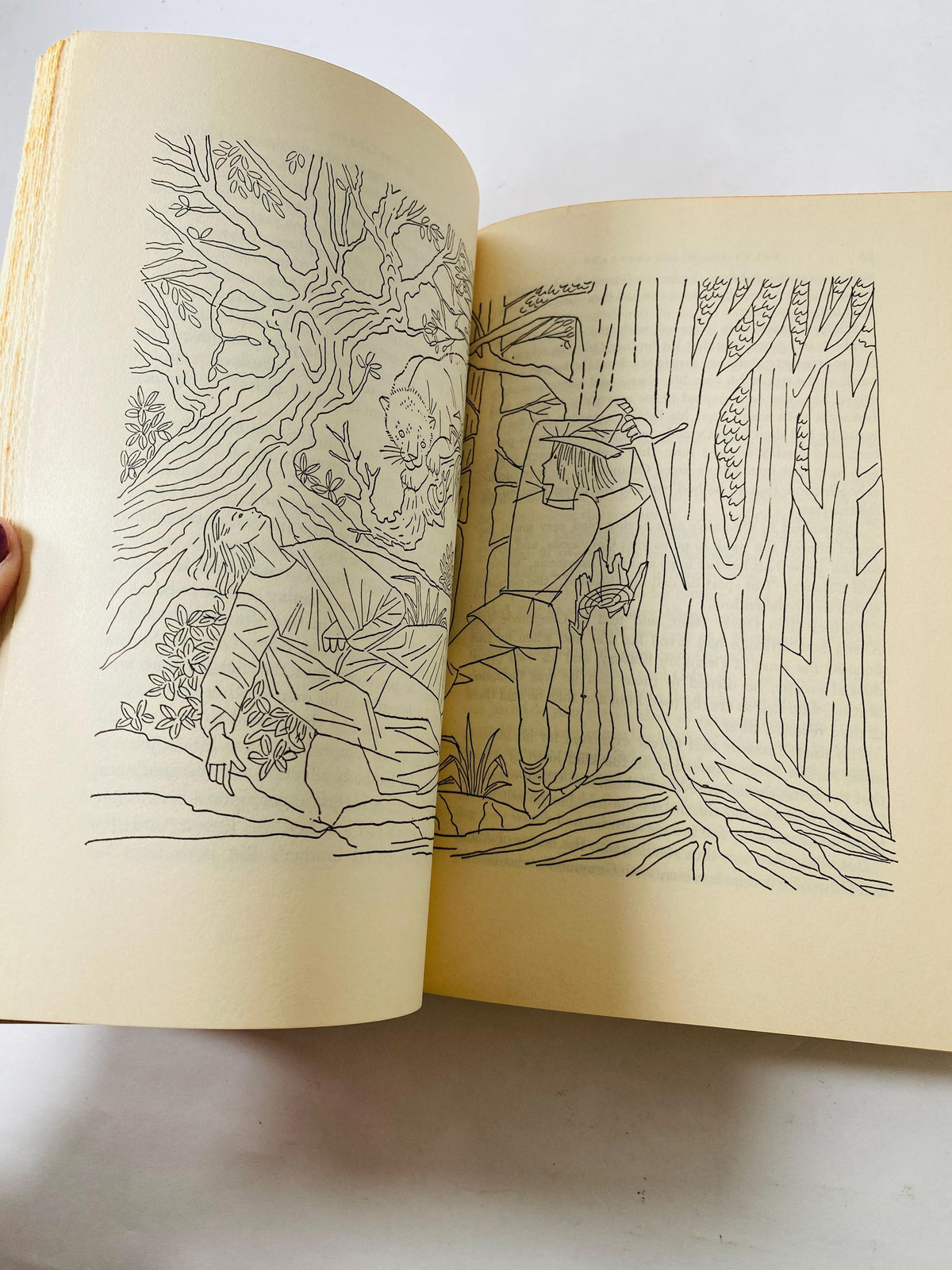 Tales from Shakespeare vintage children's book by Charles and Mary Lamb circa 1955 Leonard Weisgard illustrations