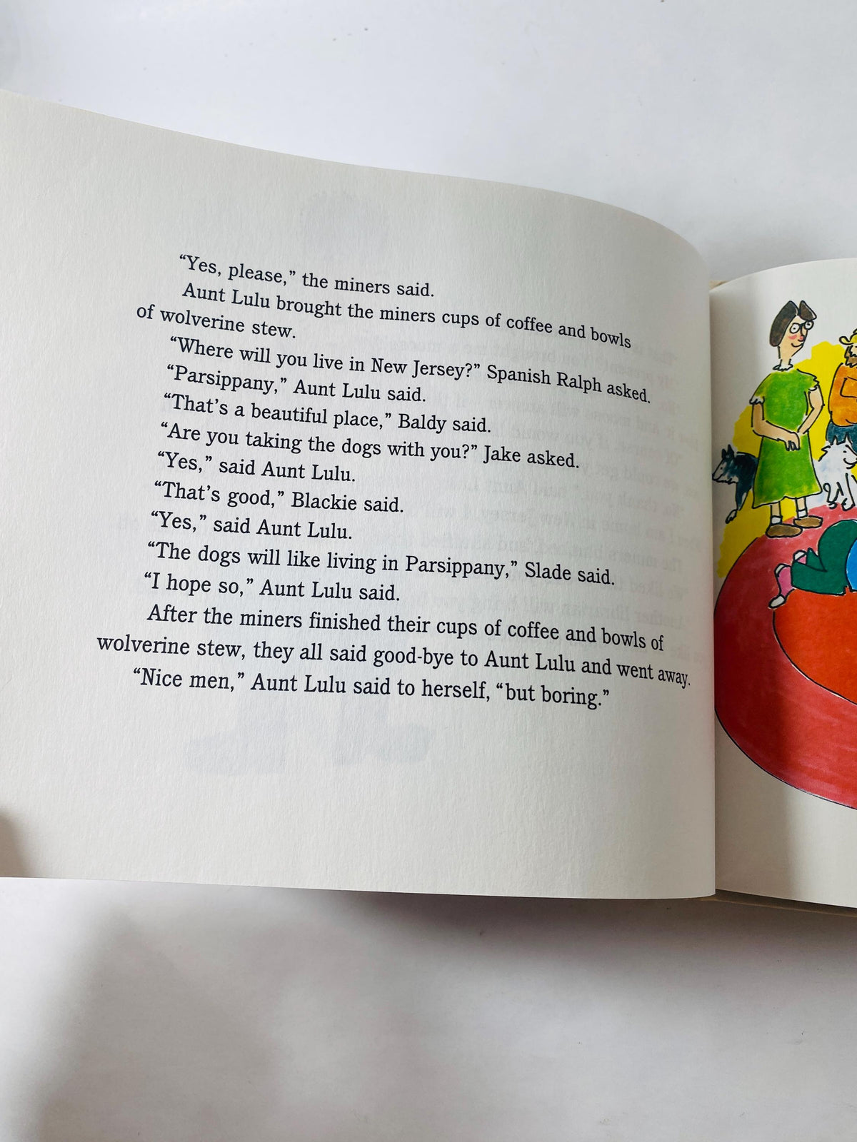 Aunt Lulu vintage book by Daniel P inkwater children's illustrated picture book about a librarian in Alaska with 14 husky sled dogs