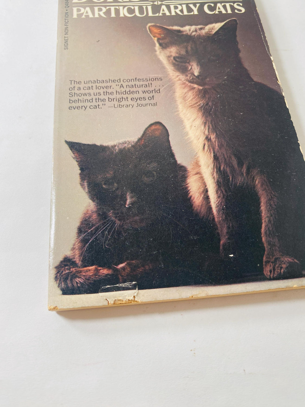 Particularly Cats vintage paperback book by Doris Lessing circa 1971 Christmas Chanukah gift stocking stuffer feline collectible