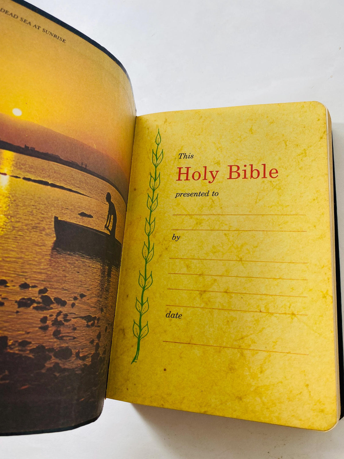 1977 Holy Bible Old & New Testaments Red Letter Edition Vintage bible with leather cover Thomas Nelson. King James Rev Please see pictures