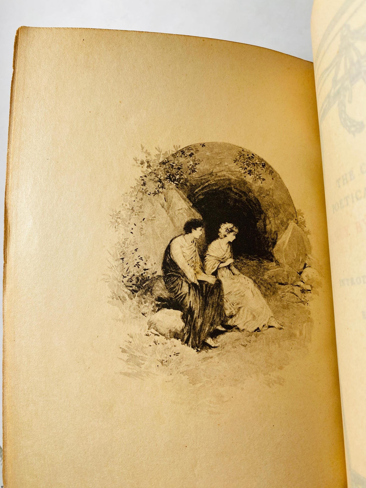 The Poetical Works of Percy Bysshe Shelley circa 1890 vintage poetry book with beautiful leather, embossed in gold. Gift