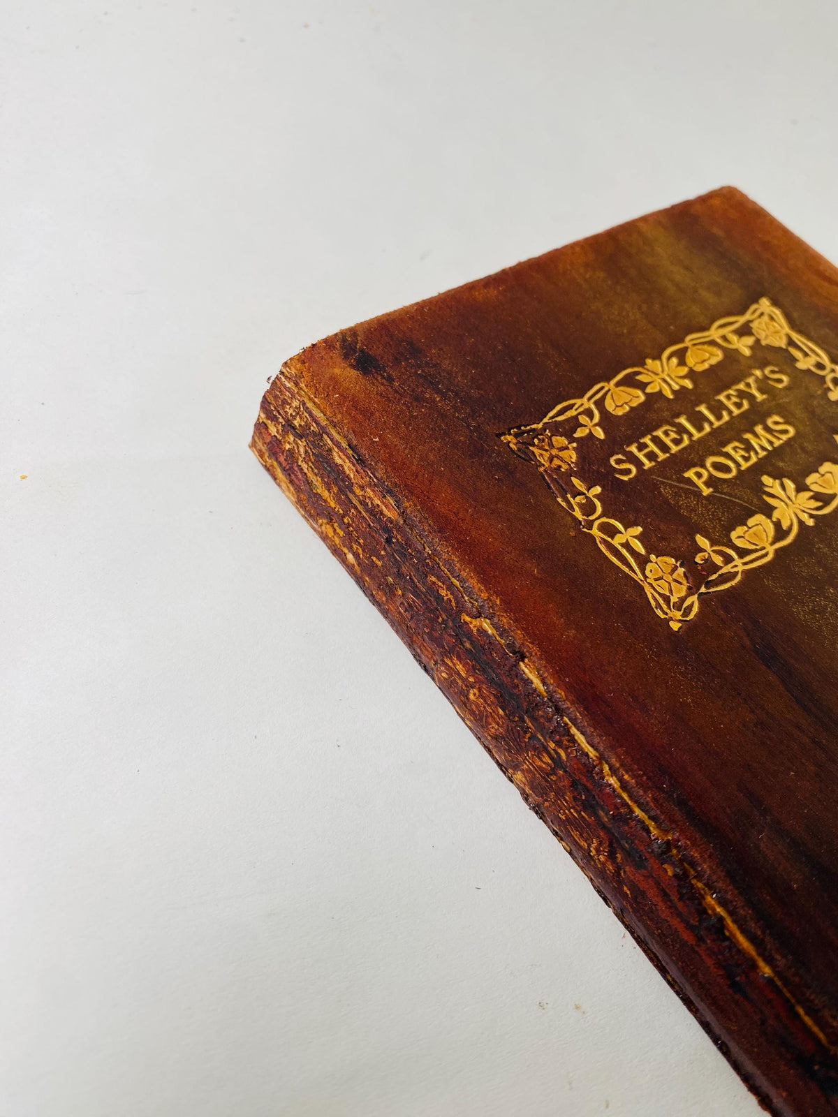 The Poetical Works of Percy Bysshe Shelley circa 1890 vintage poetry book with beautiful leather, embossed in gold. Gift