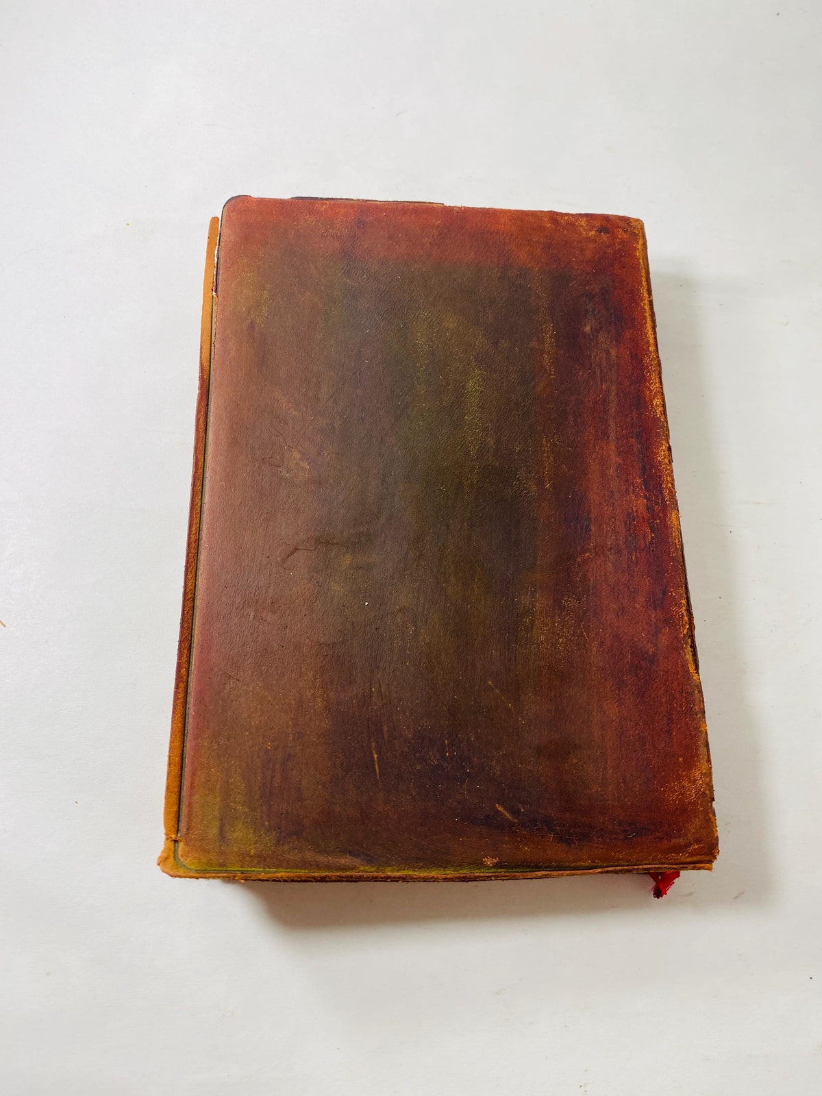 The Poetical Works of Percy Bysshe Shelley circa 1890 vintage poetry book with beautiful leather, embossed in gold. Gift