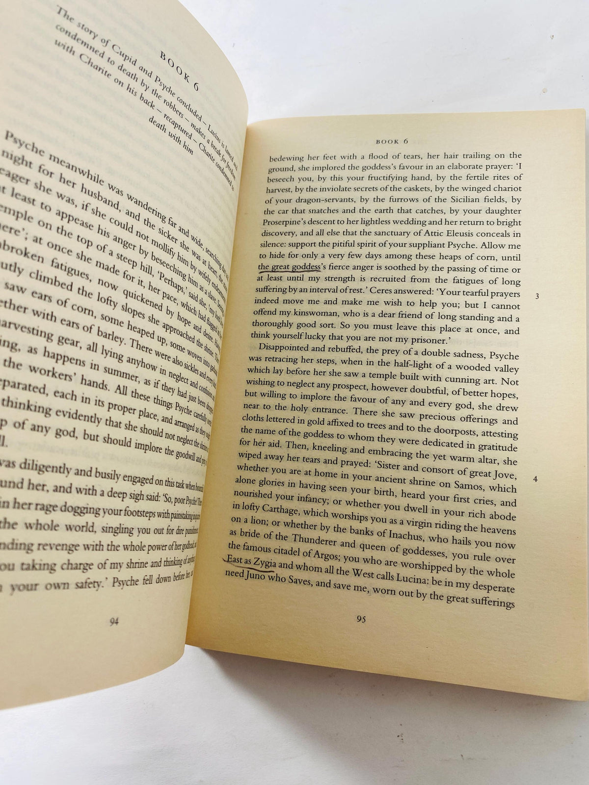 Vintage Golden Ass by Apuleius Penguin Classics Paperback book circa 1998 Kenney Translation Stocking Stuffer Penguin Classics