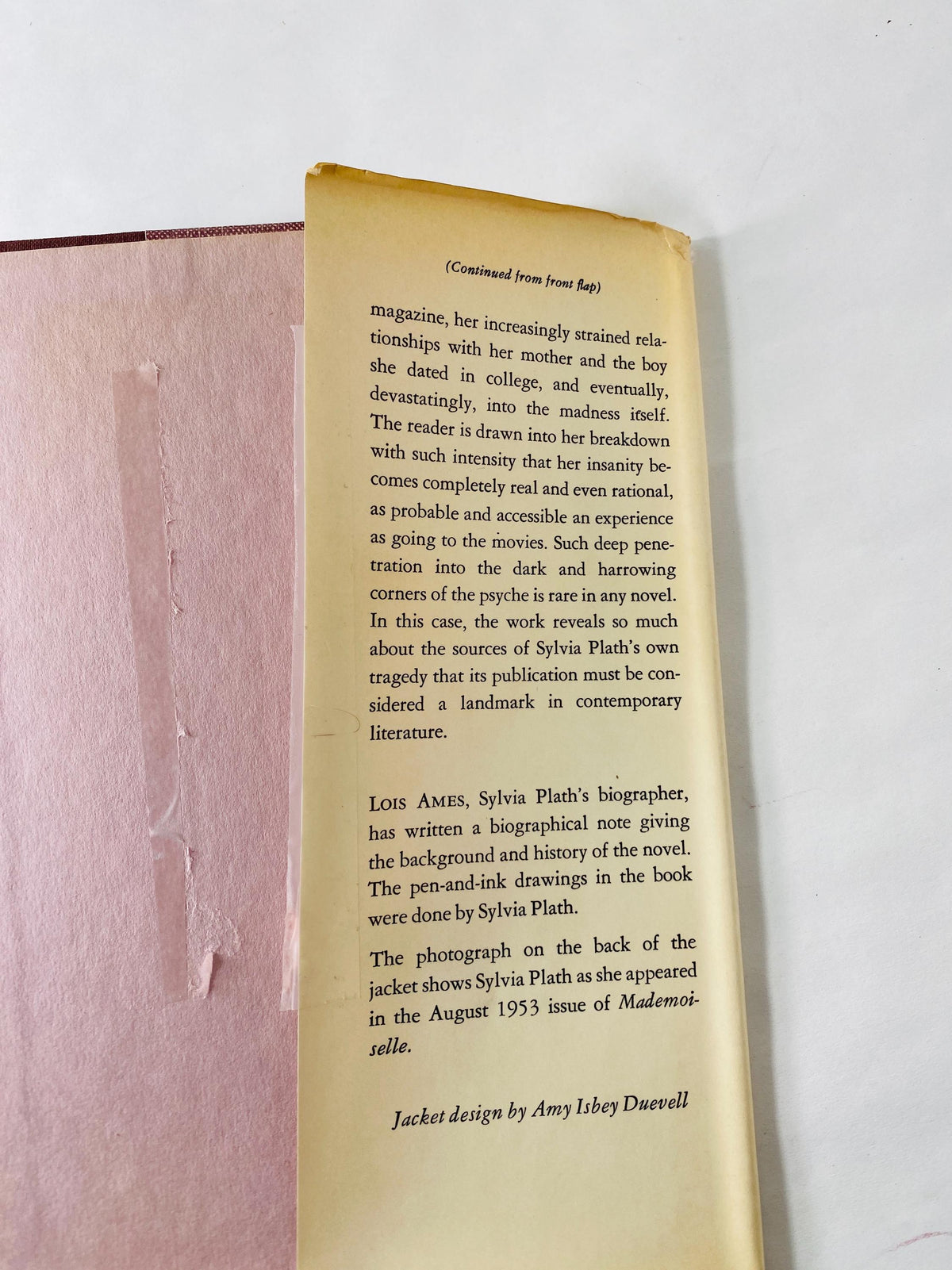 Sylvia Plath's Bell Jar FIRST PRINTING vintage book circa 1971 with dust jacket! Beautiful gift Poetry poems Christmas Chanukah
