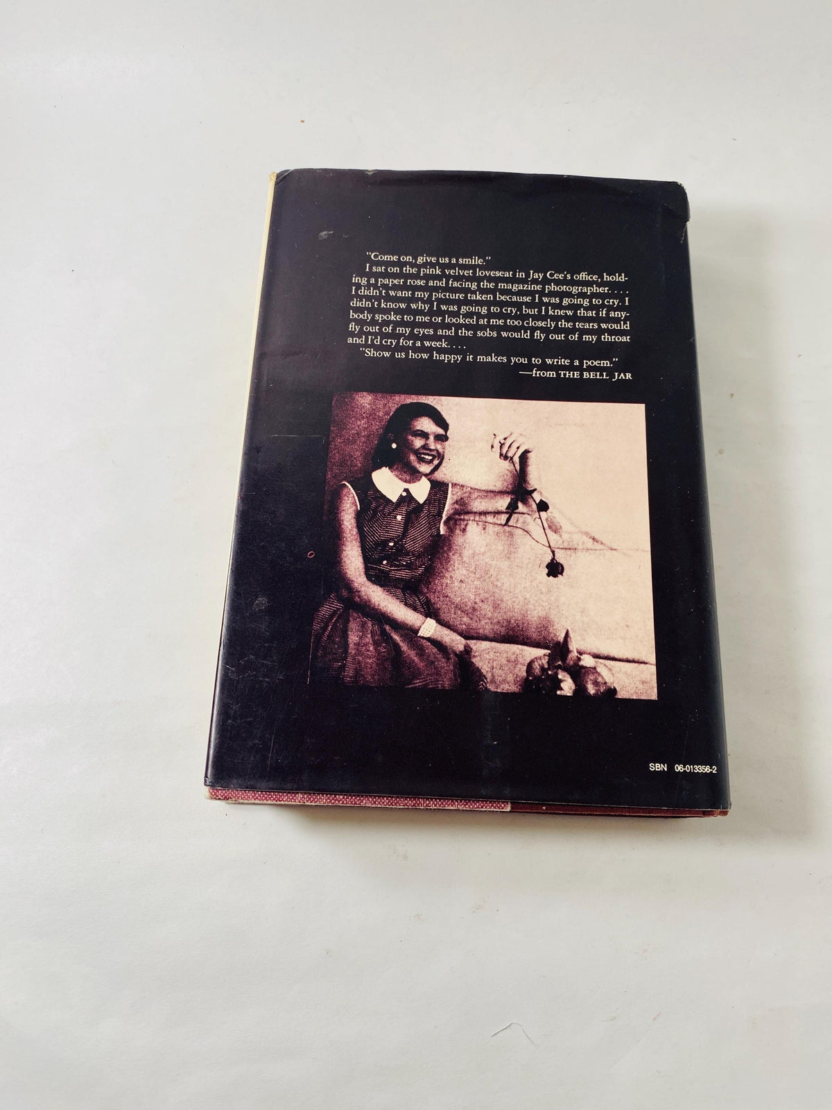 Sylvia Plath's Bell Jar FIRST PRINTING vintage book circa 1971 with dust jacket! Beautiful gift Poetry poems Christmas Chanukah