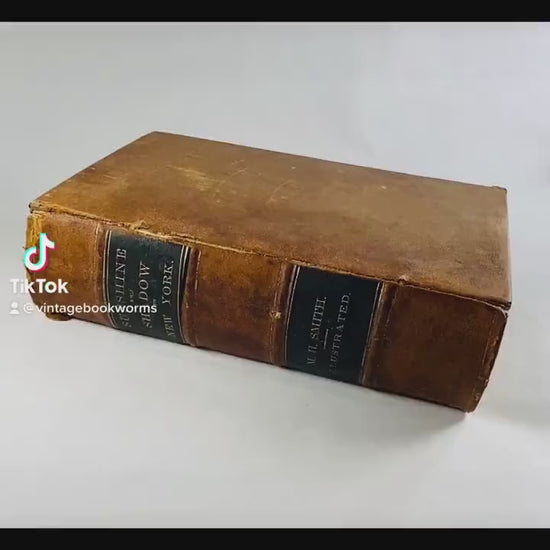1869 Sunshine and Shadow in New York by Matthew Hale Smith. Antique FIRST EDITION vintage book lithographed Civil War era social class guide