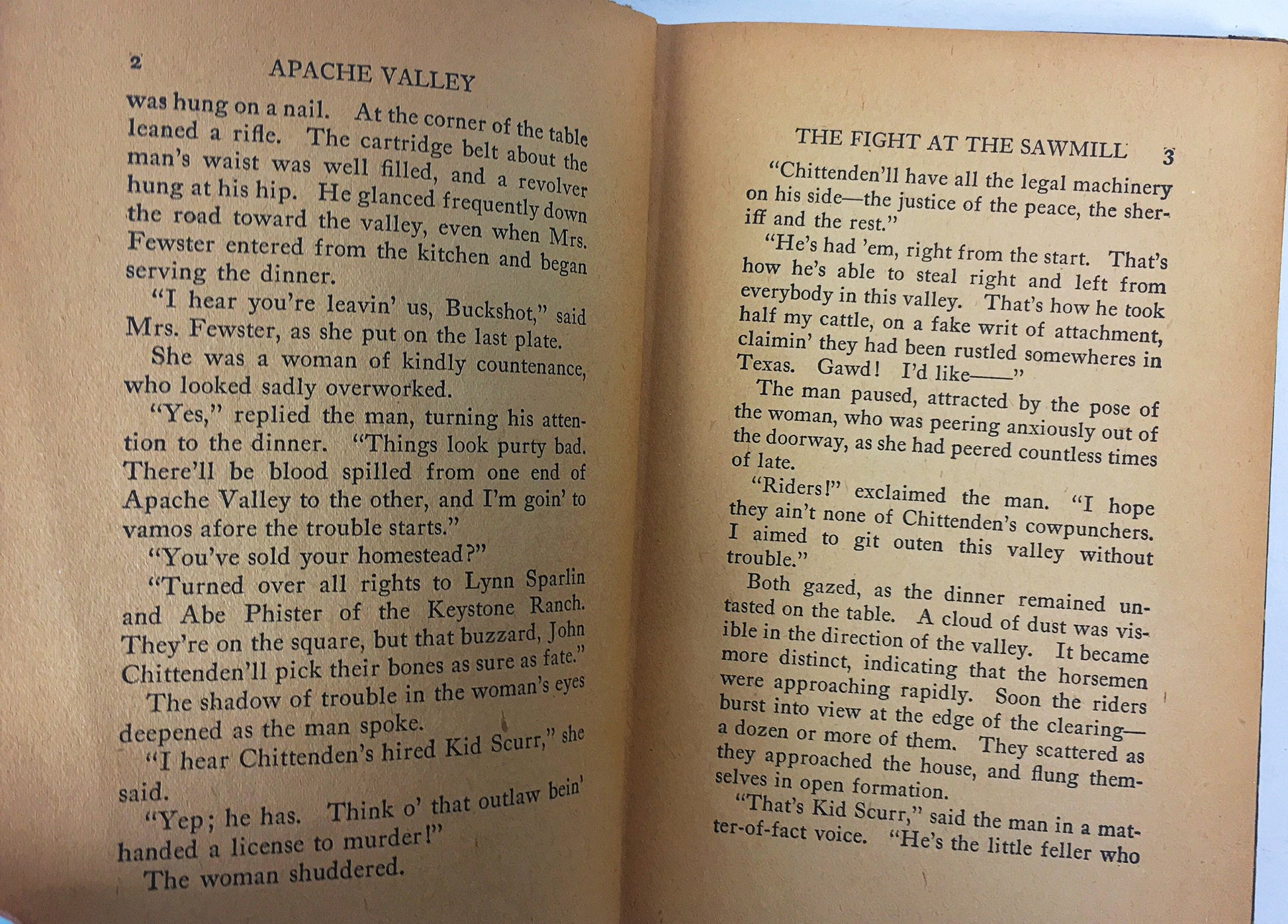 Apache Valley by Arthur Chapman. Vintage pulp western book circa 1925 about a cattle war in the southwest, terror & blood feud. Brown decor