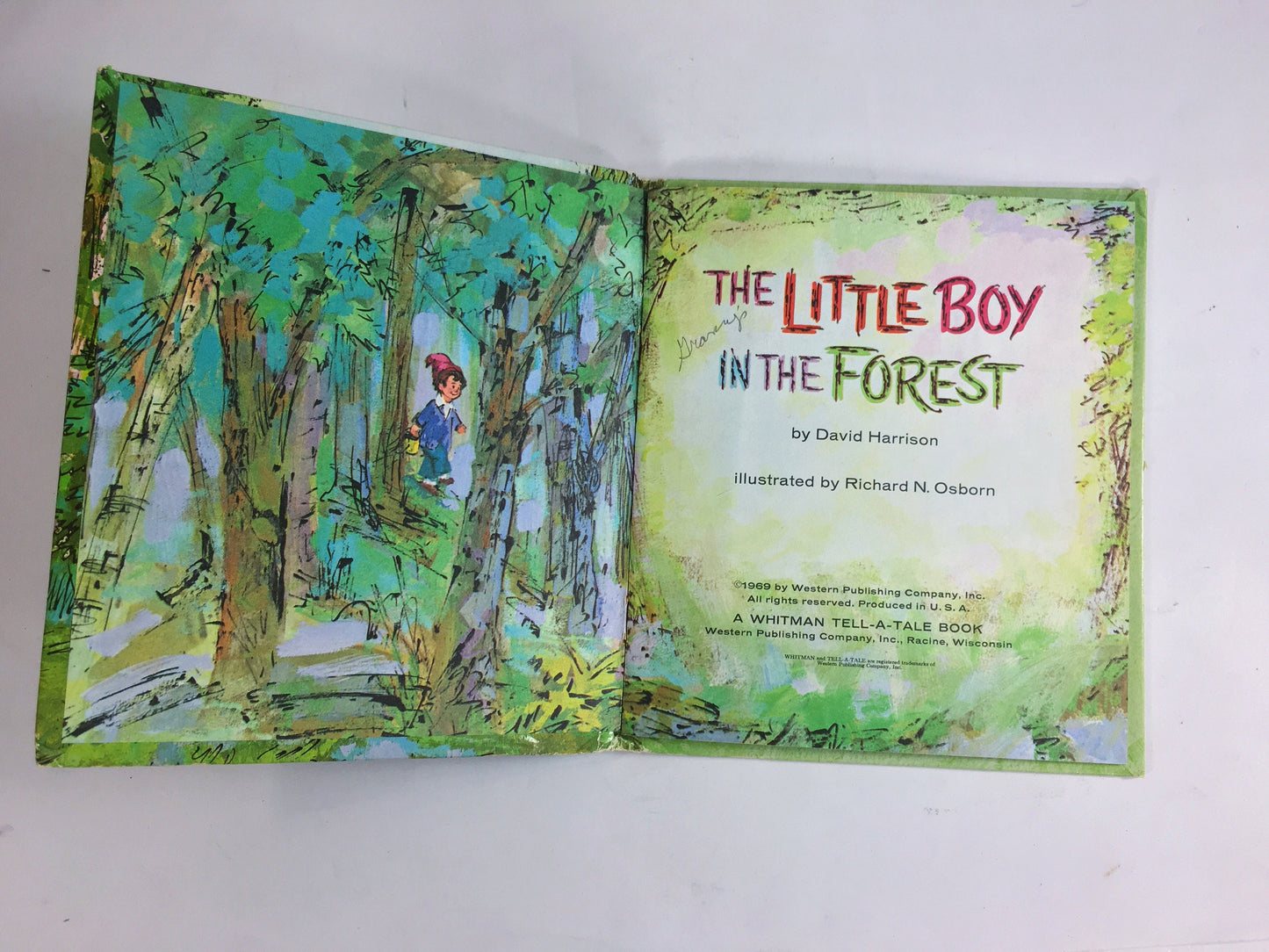 Little Boy in the Forest by David Harrison. Vintage Whitman Tell-a-Tale children's book circa 1969. Animals help the lost boy find home.
