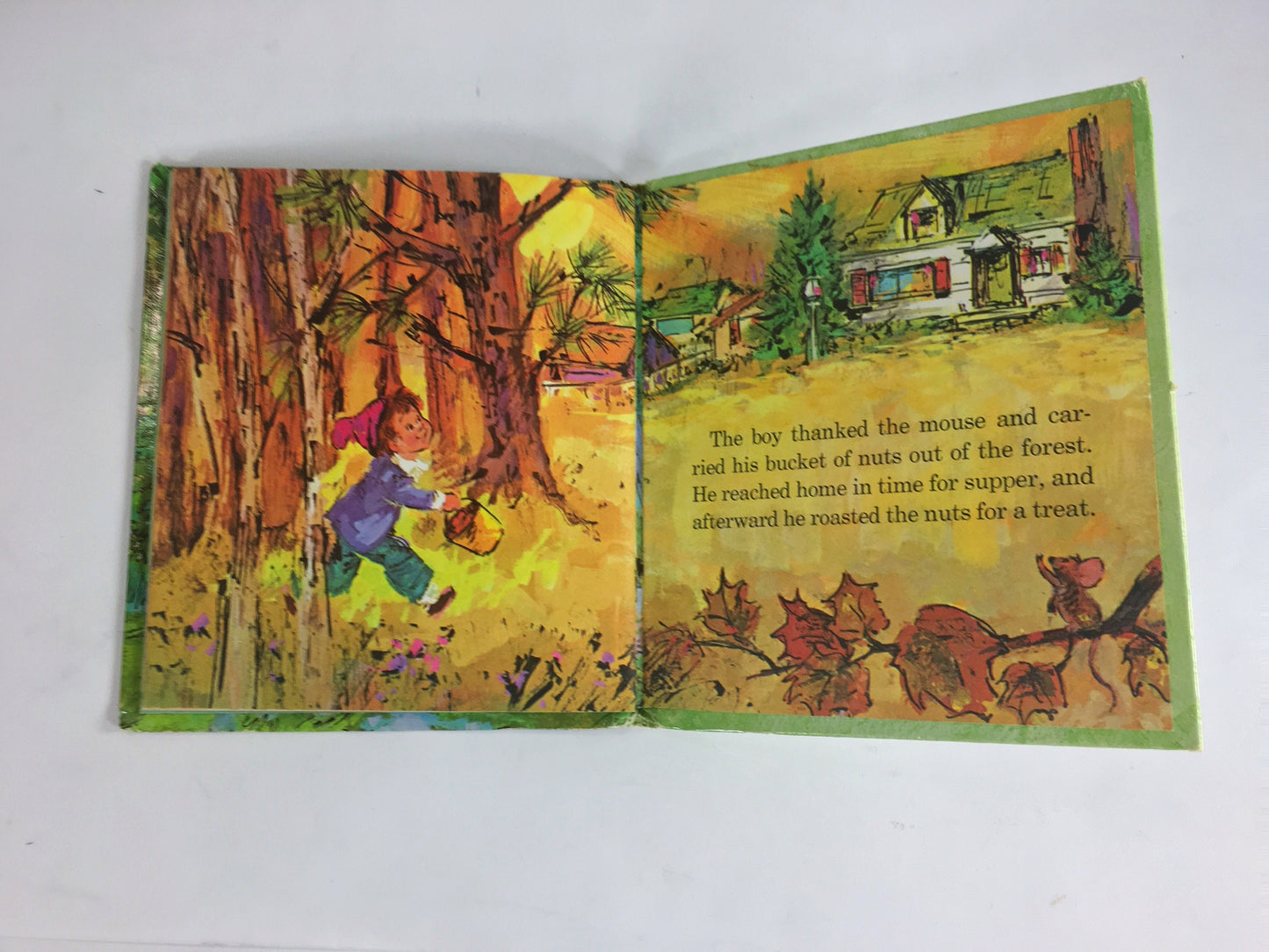 Little Boy in the Forest by David Harrison. Vintage Whitman Tell-a-Tale children's book circa 1969. Animals help the lost boy find home.