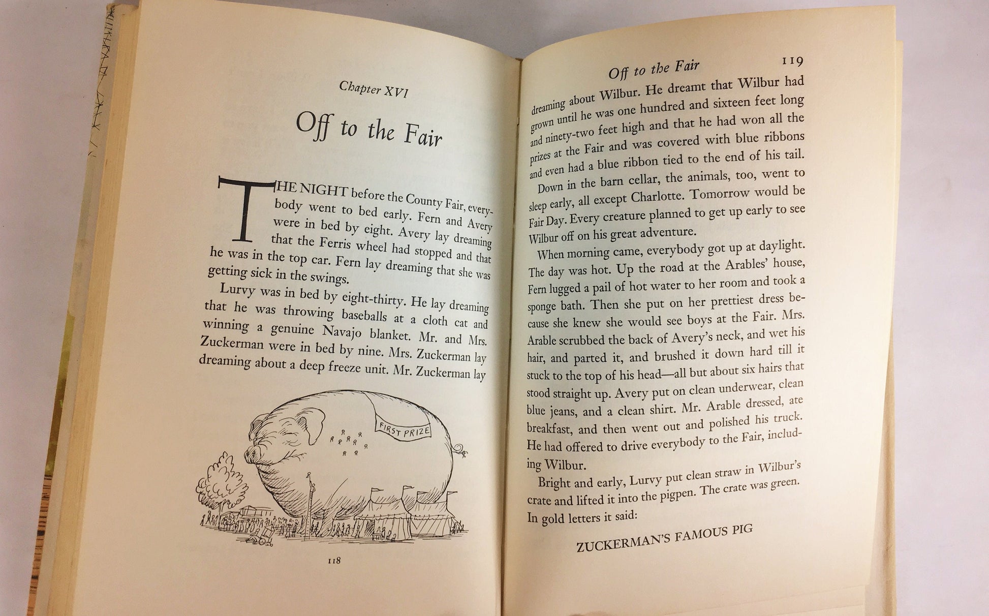 Charlotte's Web by EB White. EARLY PRINTING illustrator Garth Williams. Collector vintage book gift circa 1970.