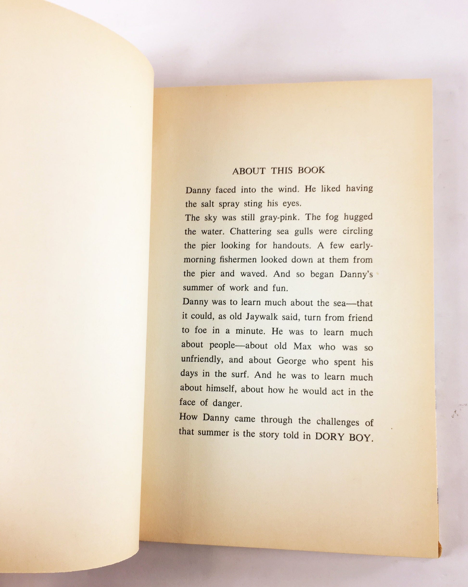 1966 Dory Boy by Joan Talmage Weiss about a teenage boy and summer challenges. Vintage cello book Whitman Publishing