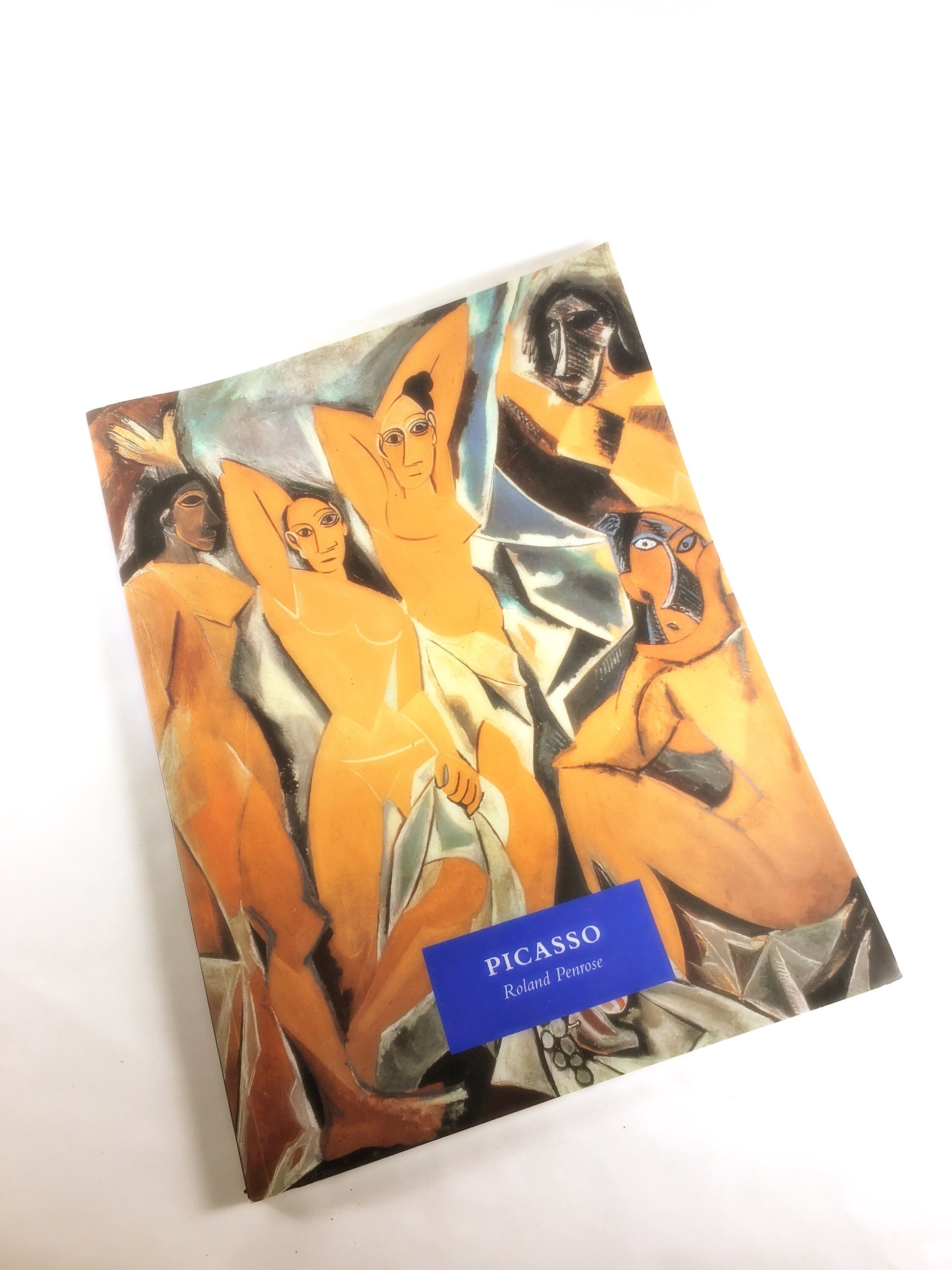 1971 LARGE GORGEOUS Vintage Art Chronology paperback book. Klimt Picasso Monet Whistler Brugel or Degas. Bookshelf home office decor.